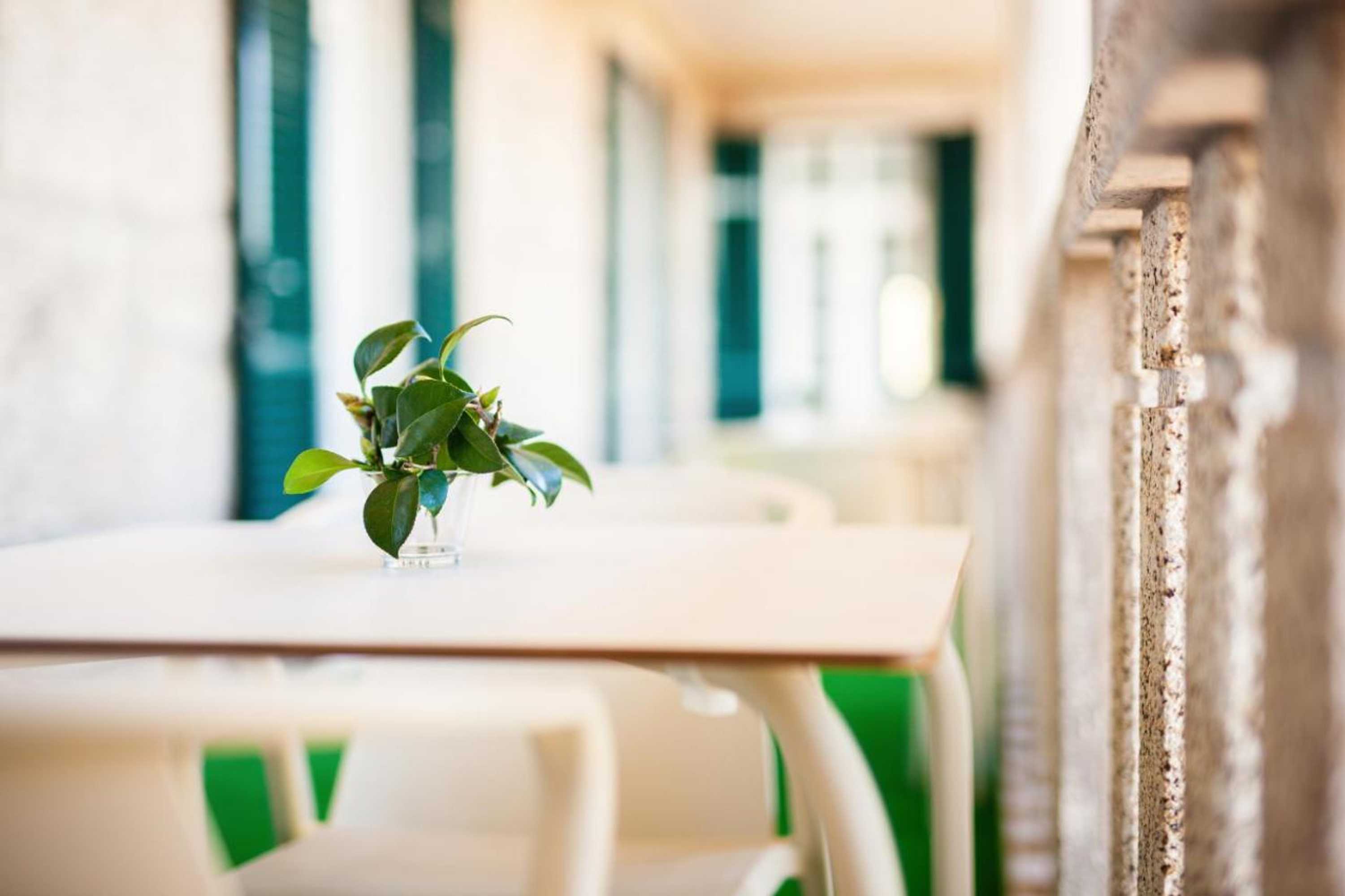 Gift card for Fonte Velha