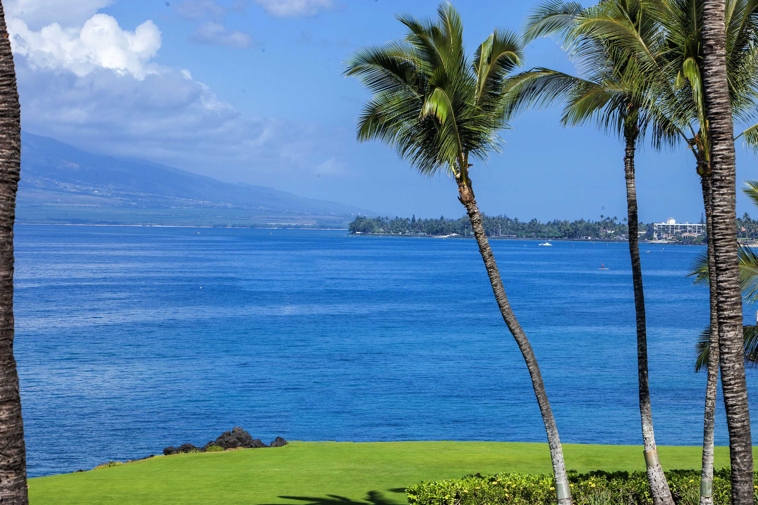 Gift card for Kihei Surfside - Maui Condo & Home Gift card for Kihei Surfside - Maui Condo & Home