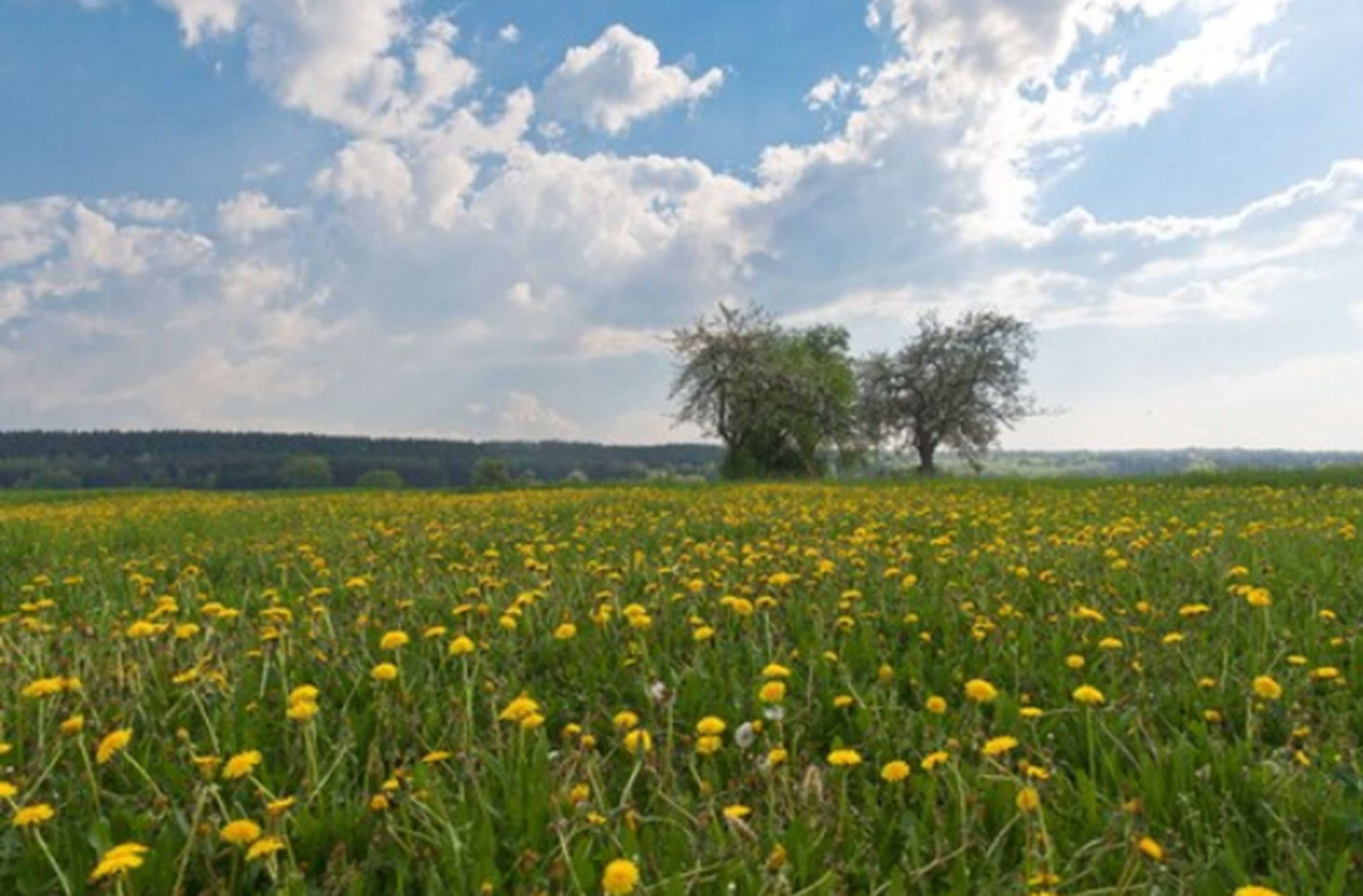 Gift card for Annas Gästehaus