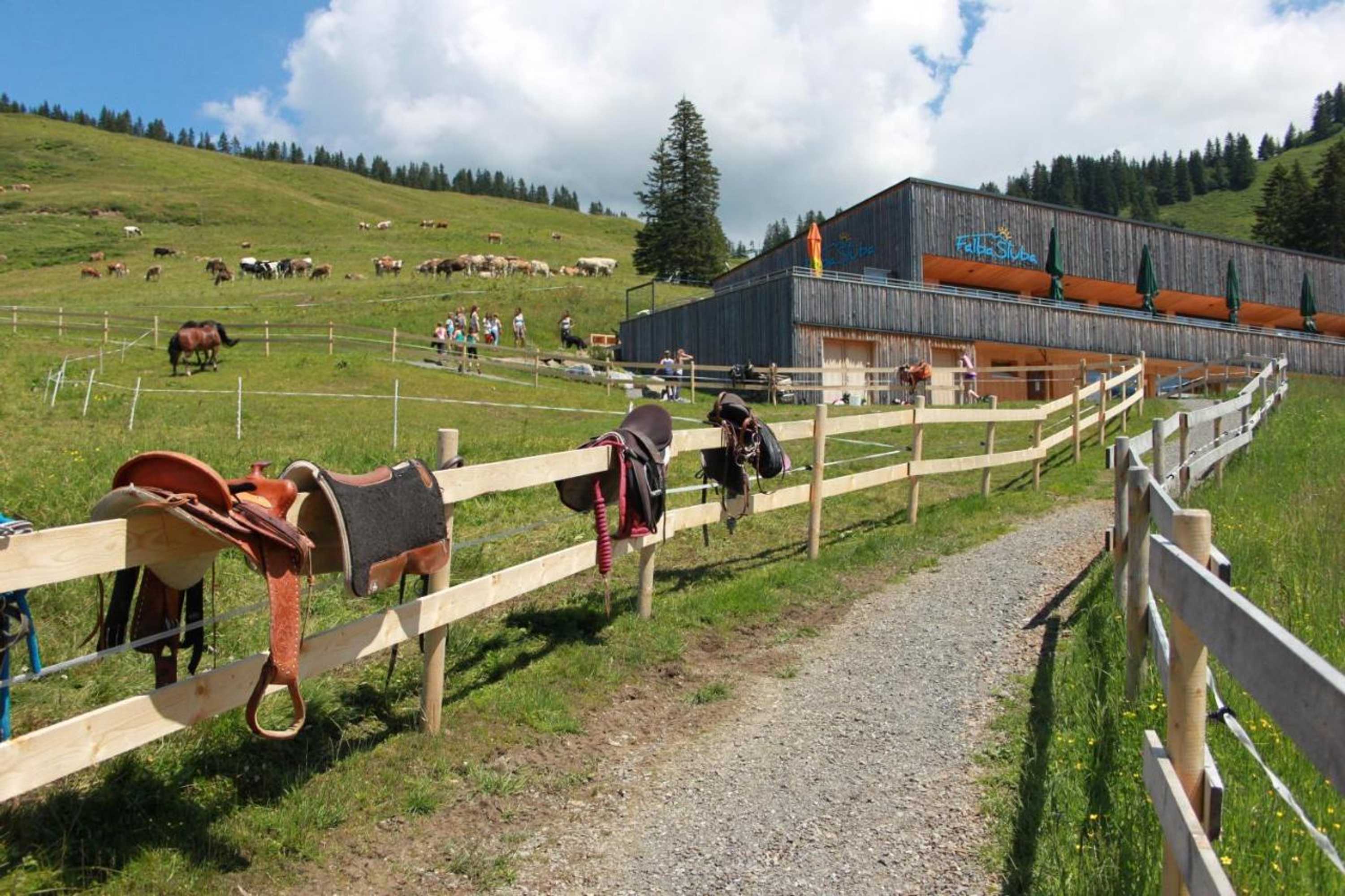 Gift card for Haus Matt