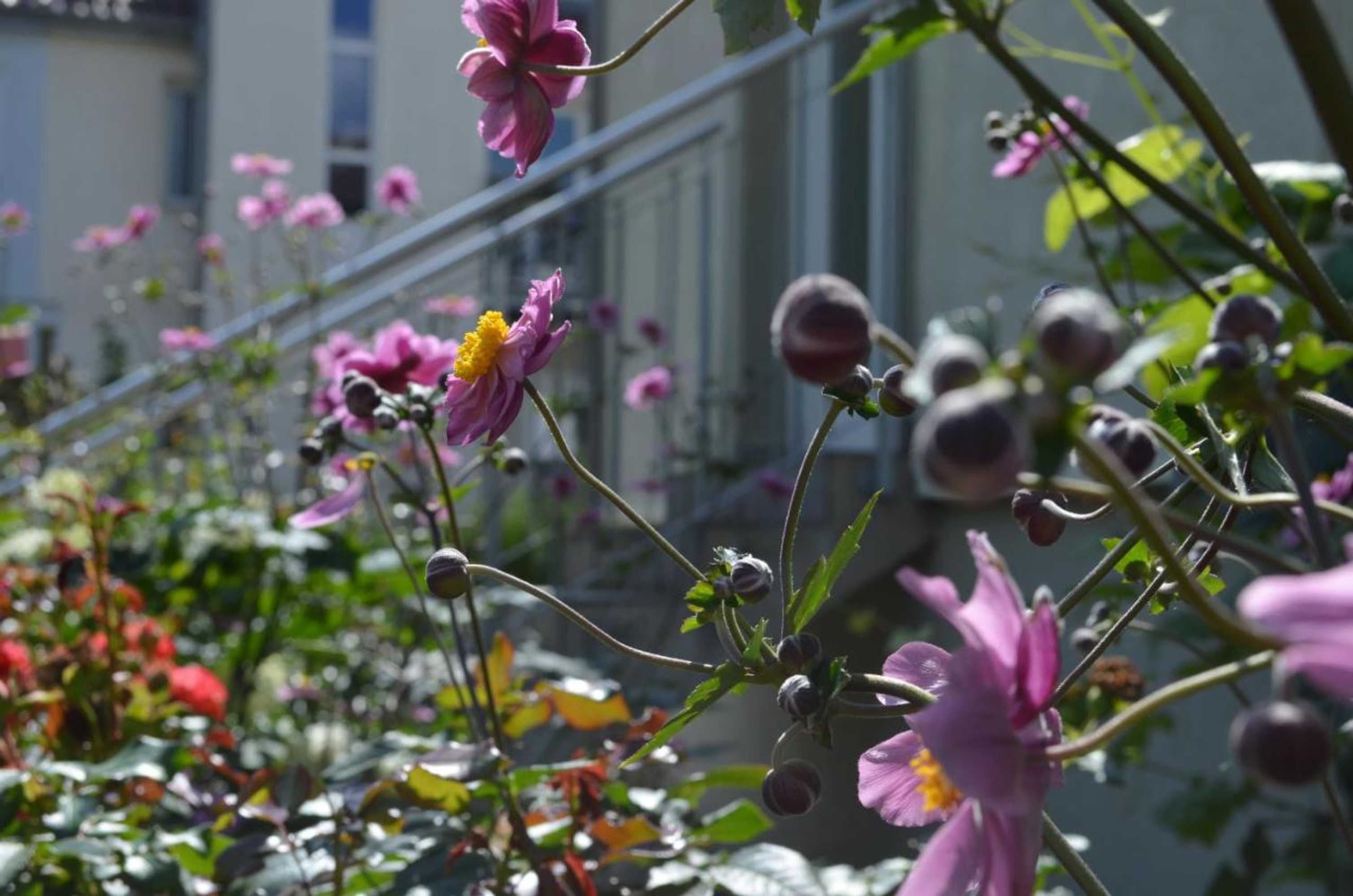 Gift card for Hotel Ochsen