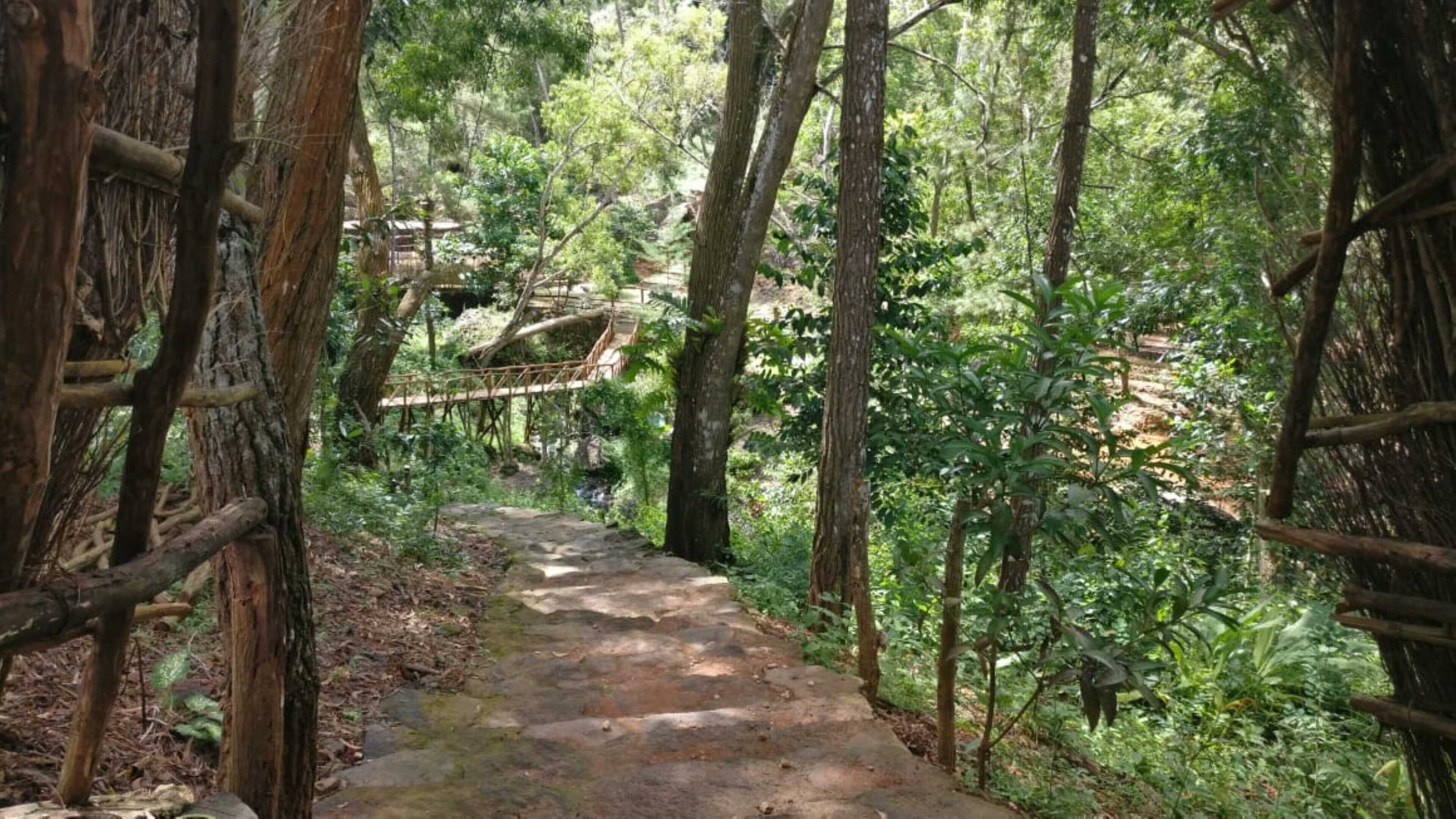 Gift card for Seribu Batu Songgo Langit Resort & Camp