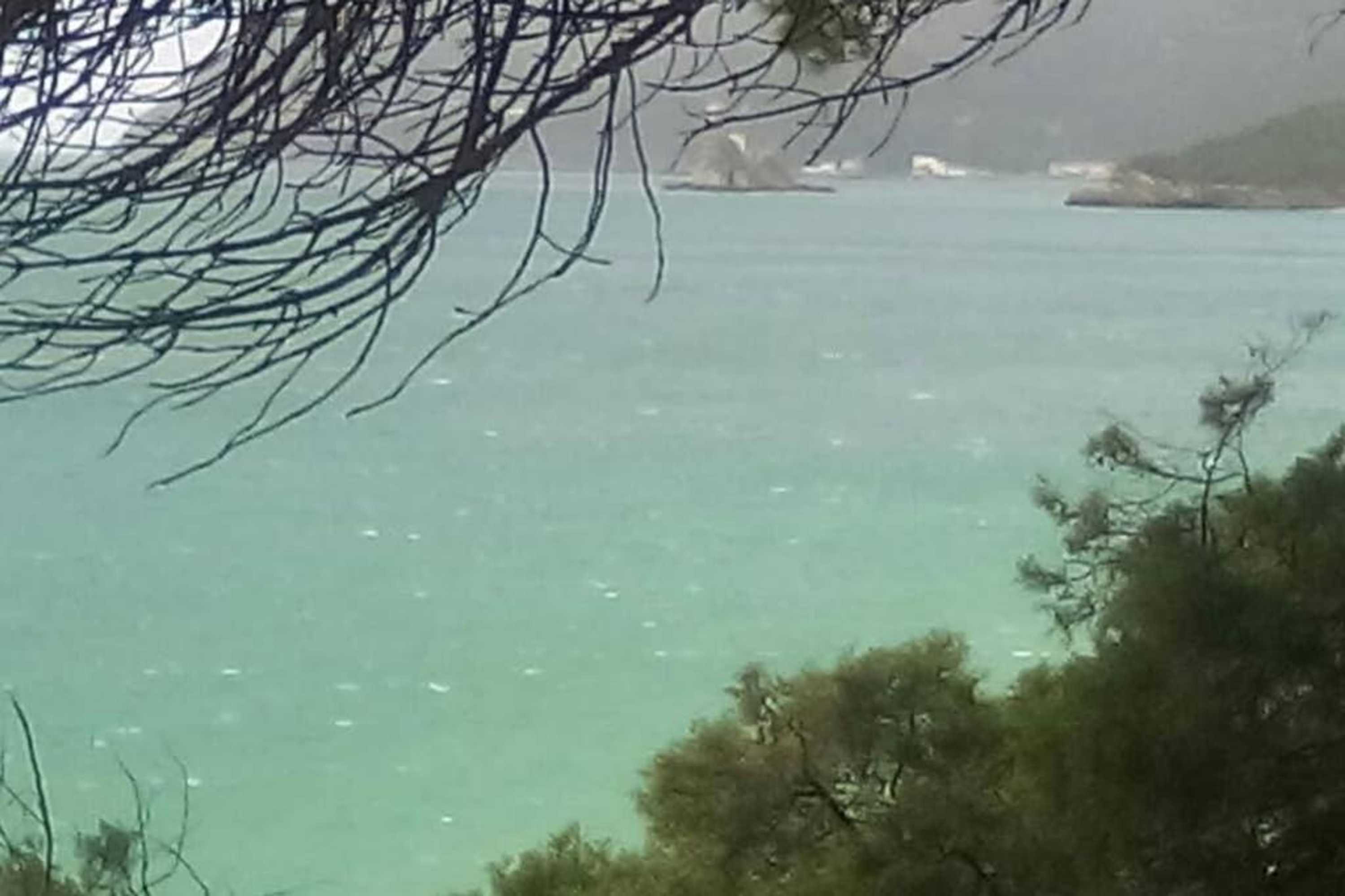 Gift card for Páteo da Memória Casa do Pintor