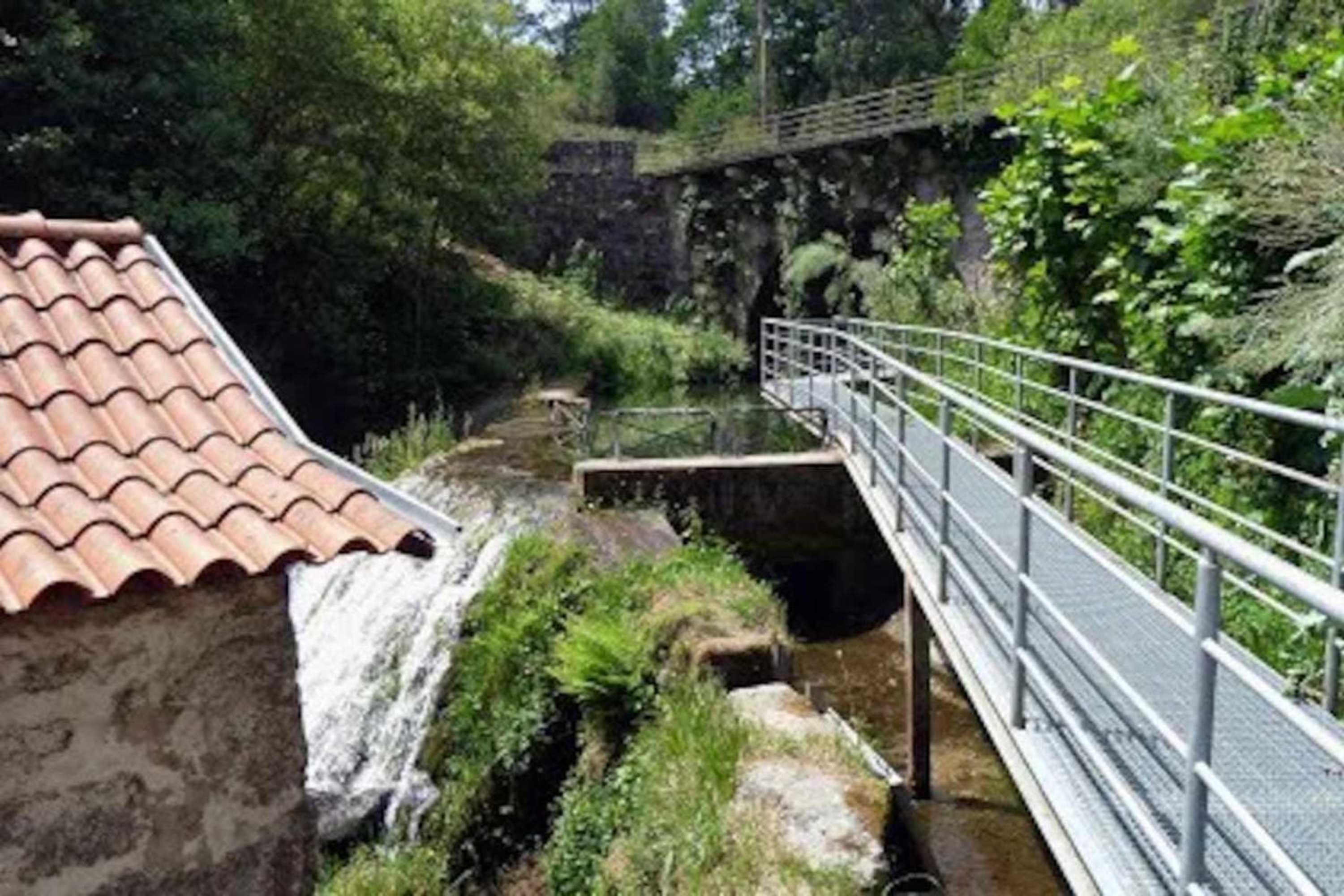 Gift card for Casa da Caneleira Camélias de Basto