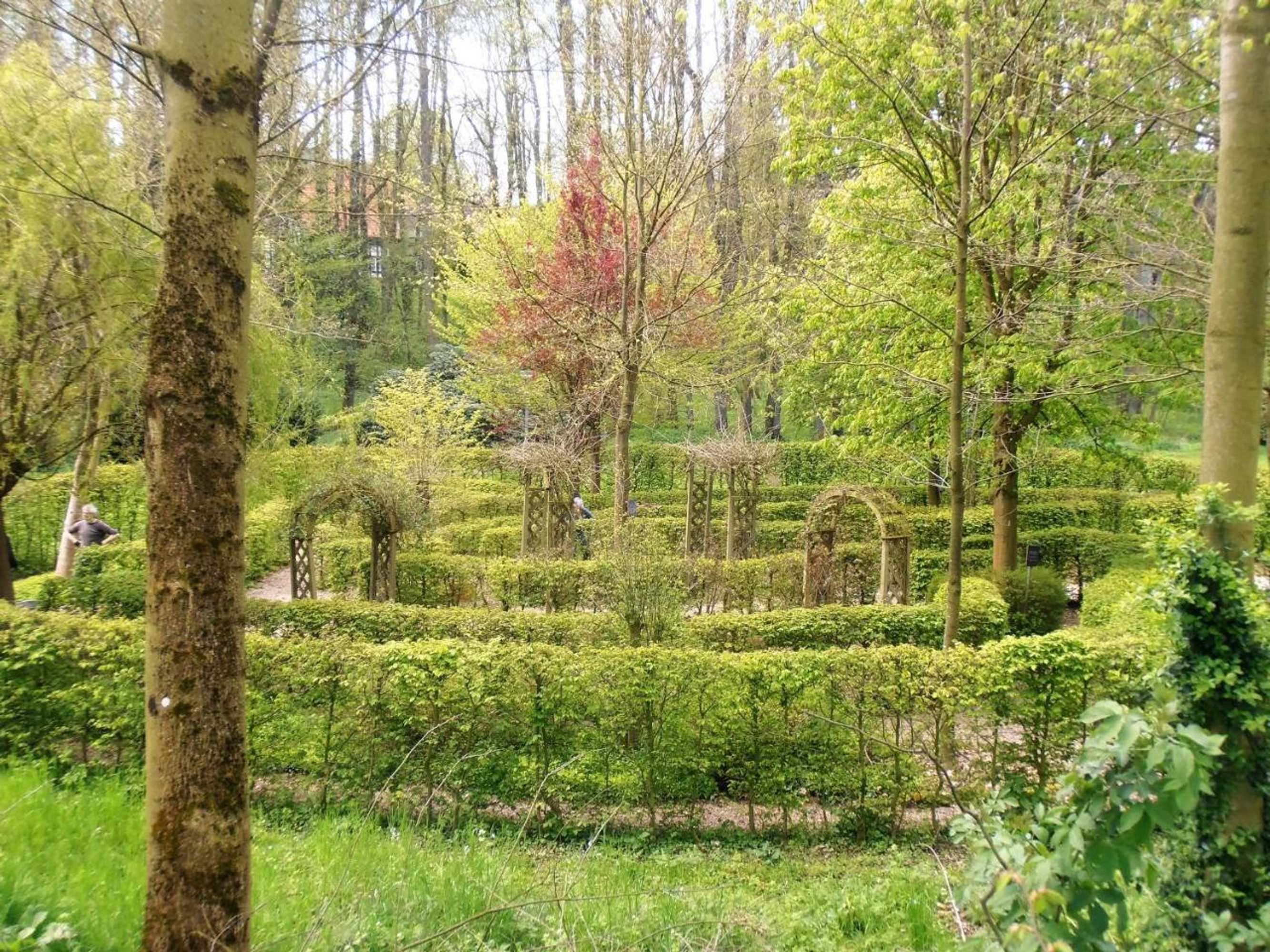 Gift card for Gasthaus Schadde