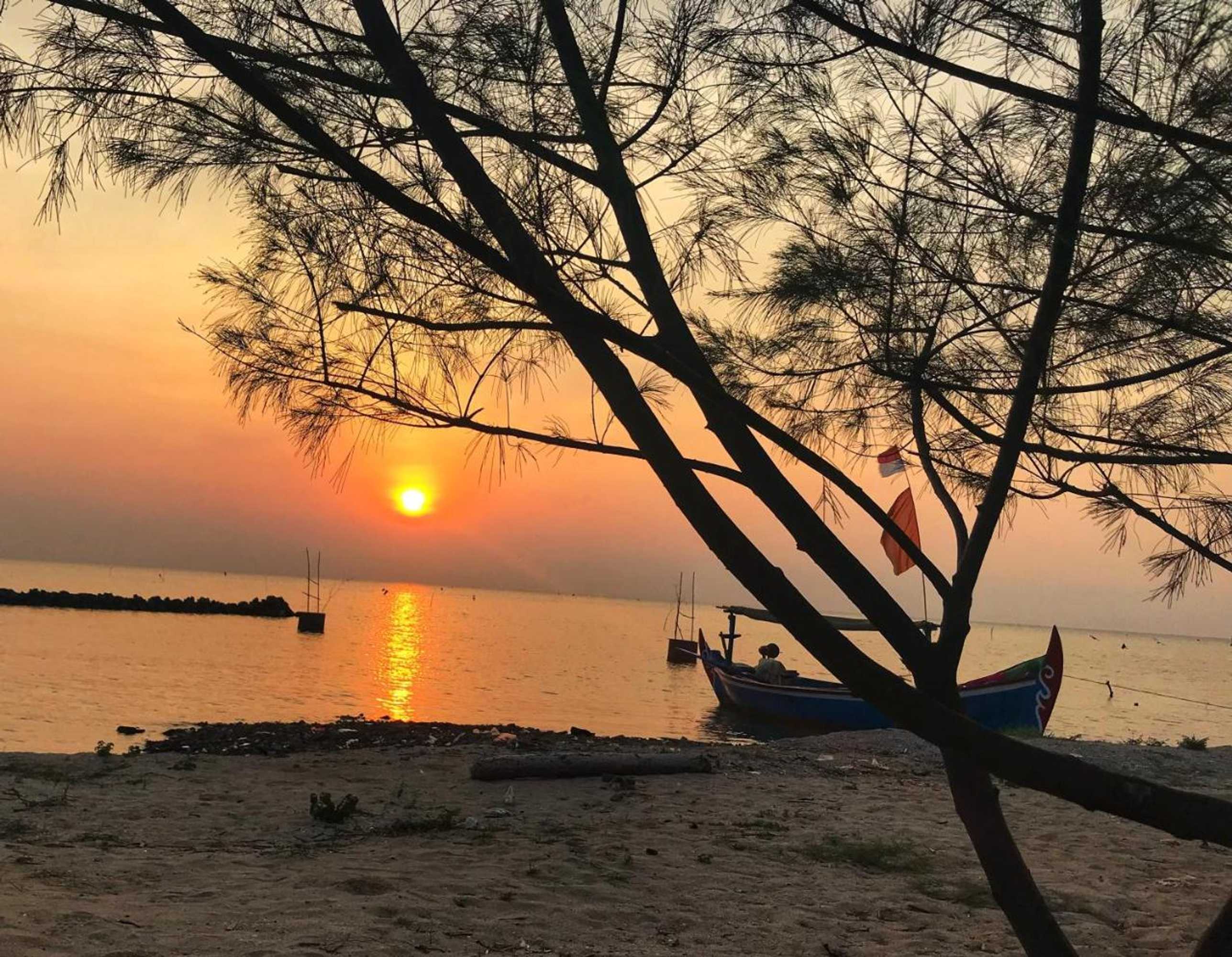 Gift card for Seabirds Bed And Breakfast Gift card for Seabirds Bed And Breakfast