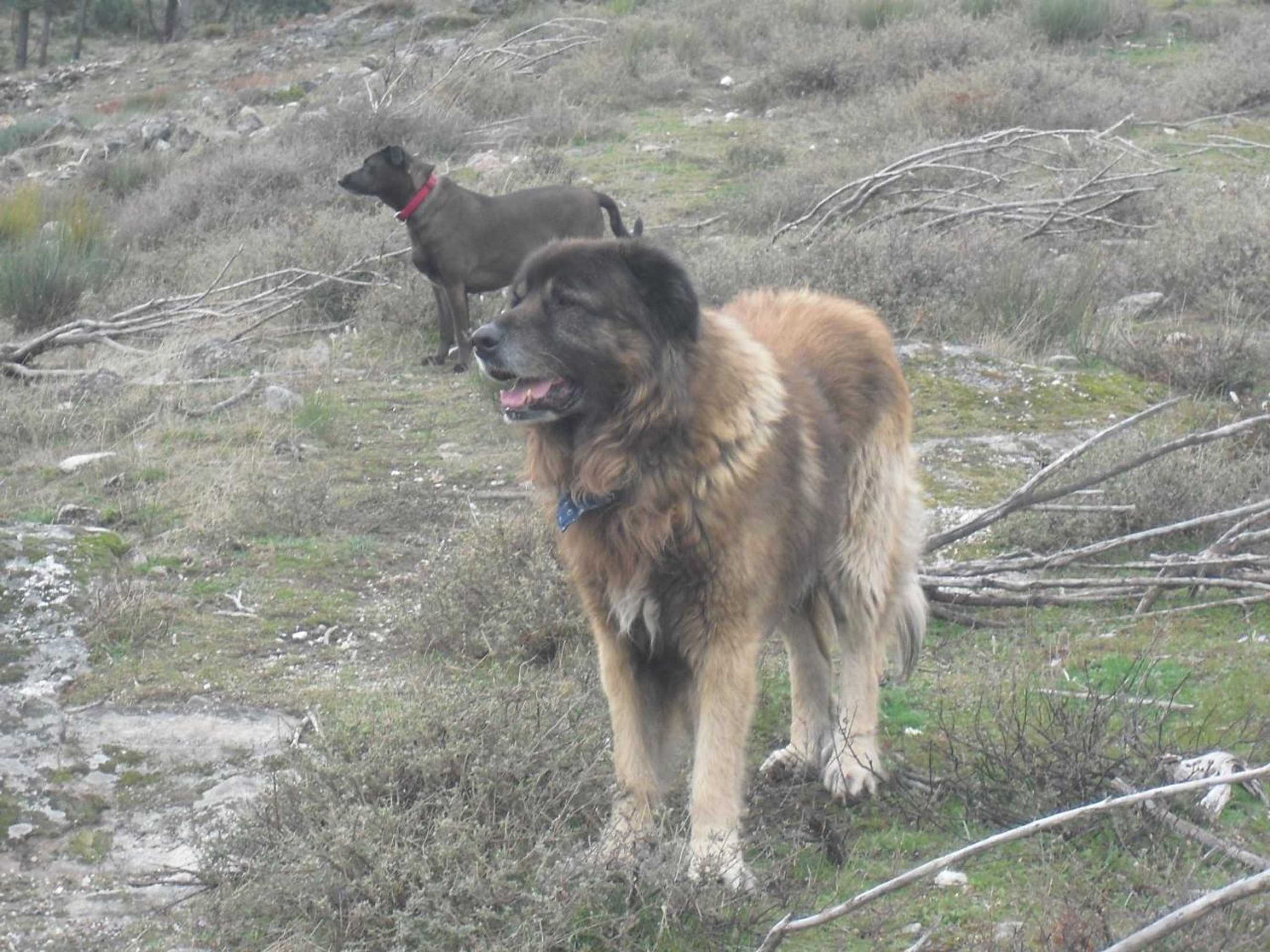 Gift card for Terra Mista Alojamento Local