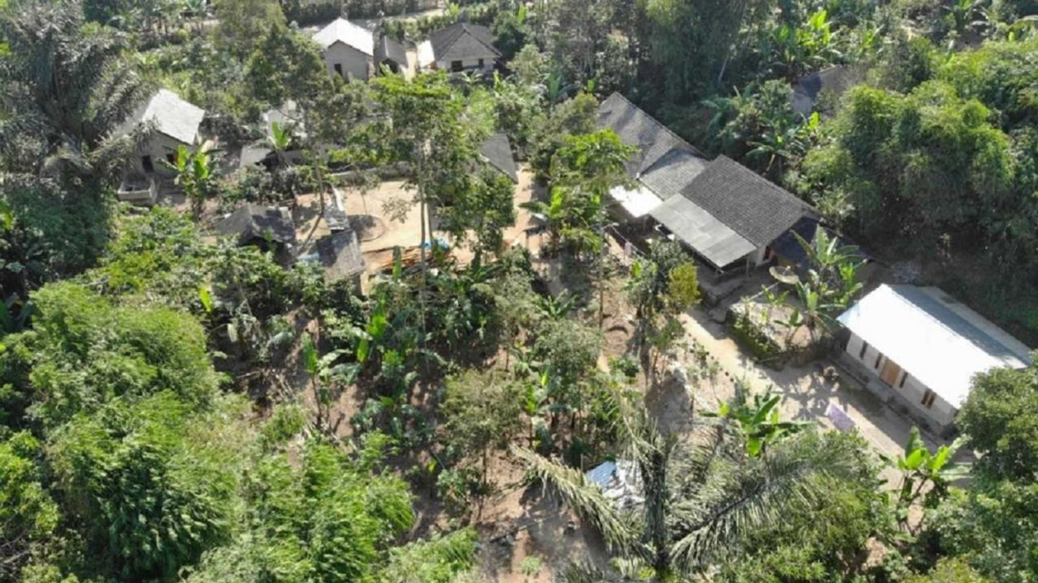 Gift card for Tereng Wilis Jungle Inn