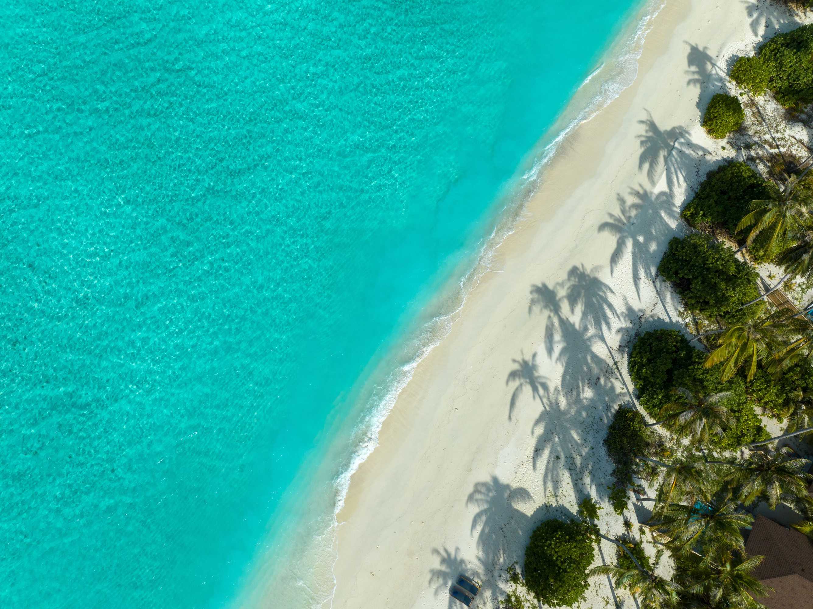Gift card for Avani Plus Fares Maldives Resort - 50 Percent Off on Seaplane Transfer For Stays Until 22 December 2024 Gift card for Avani Plus Fares Maldives Resort - 50 Percent Off on Seaplane Transfer For Stays Until 22 December 2024