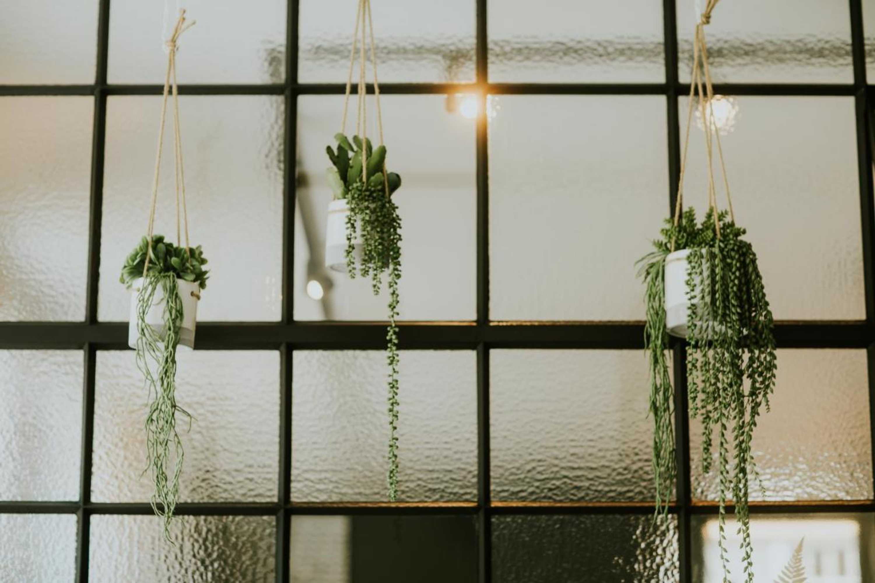 Gift card for Hotel Jerom