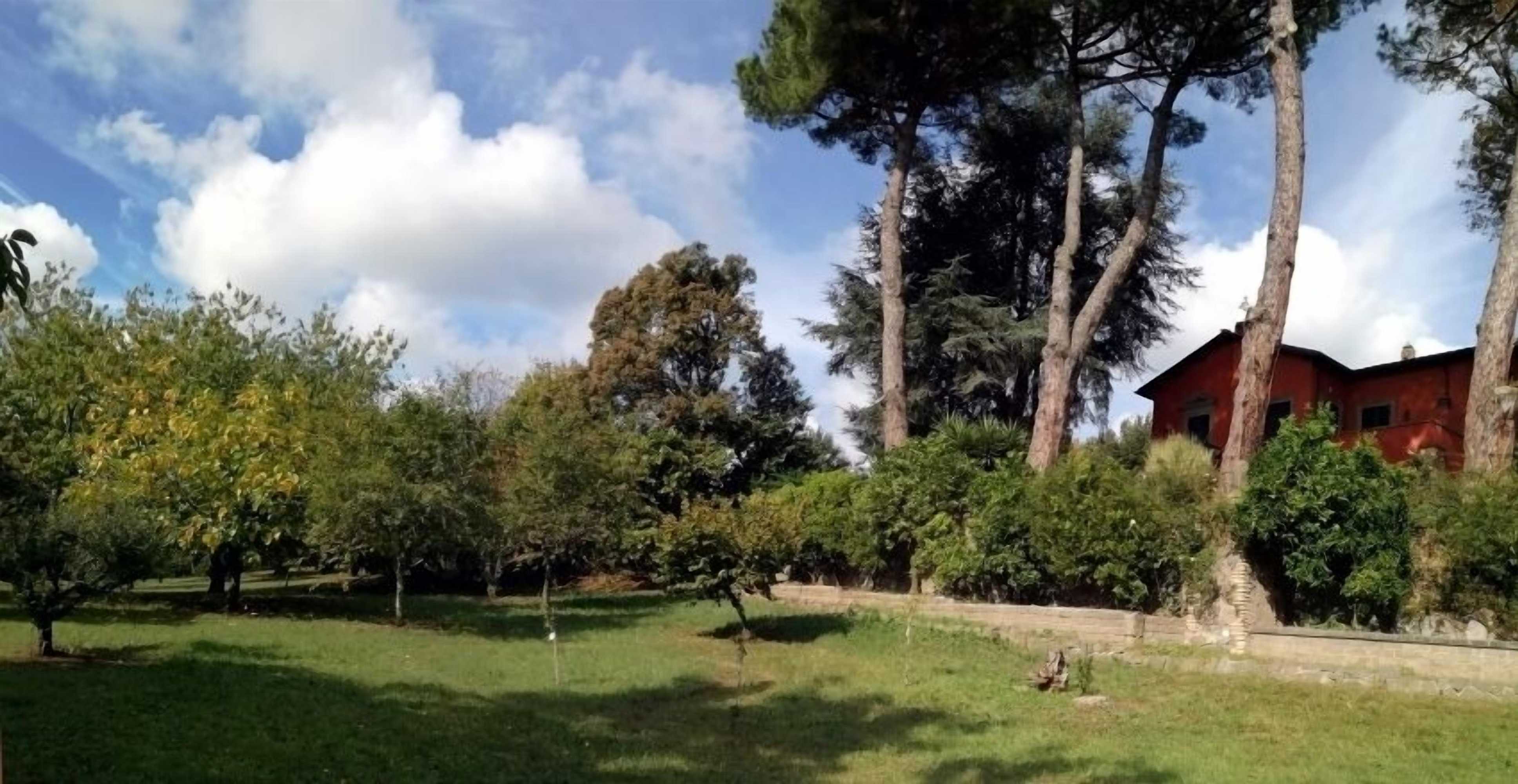 Gift card for B&b Vigna Dell'agrifoglio Gift card for B&b Vigna Dell'agrifoglio