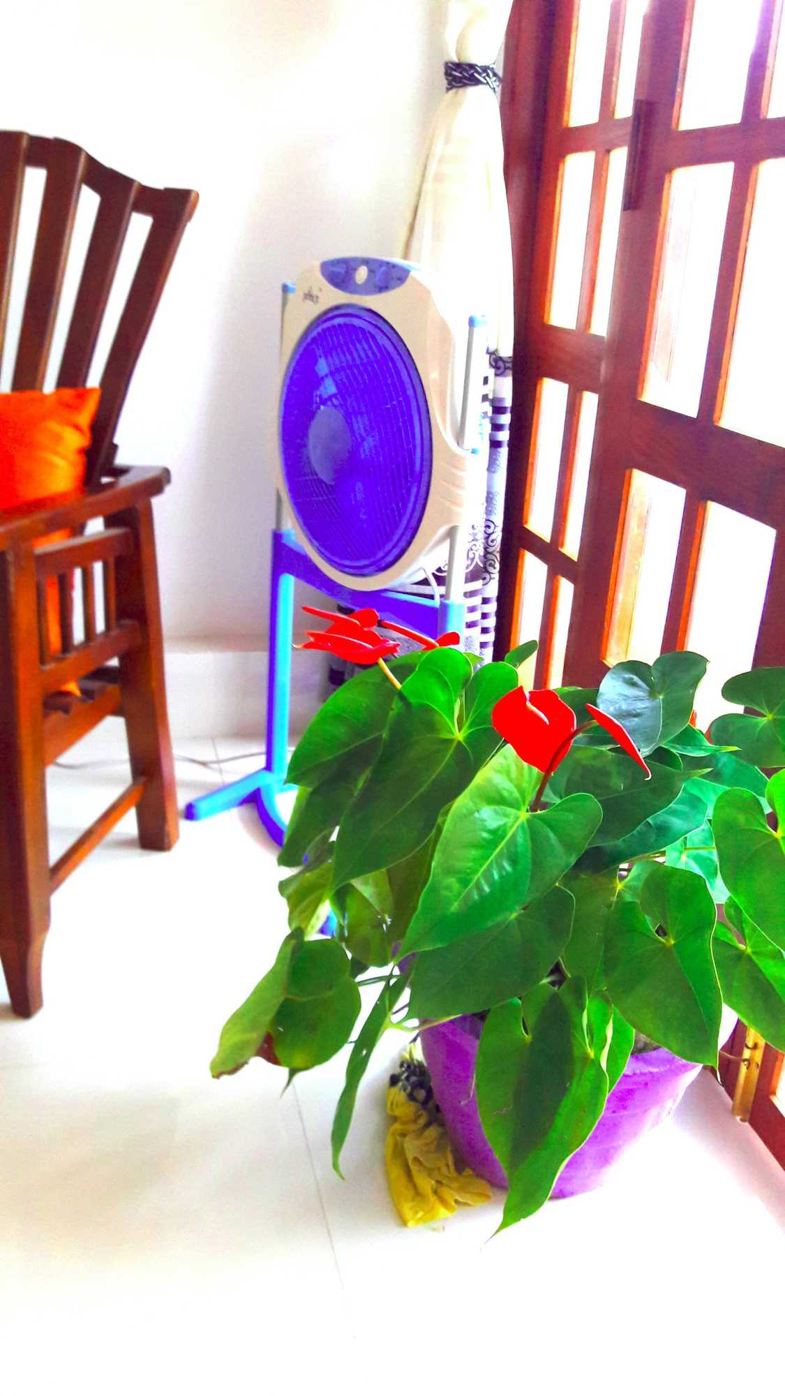 Gift card for Fresh Air Villa Guest House Gift card for Fresh Air Villa Guest House