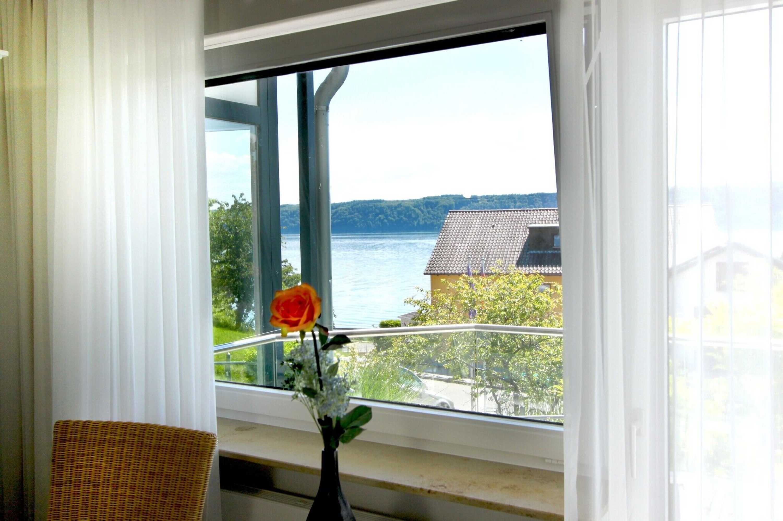 Gift card for Lupinenhotel Bodensee Gift card for Lupinenhotel Bodensee