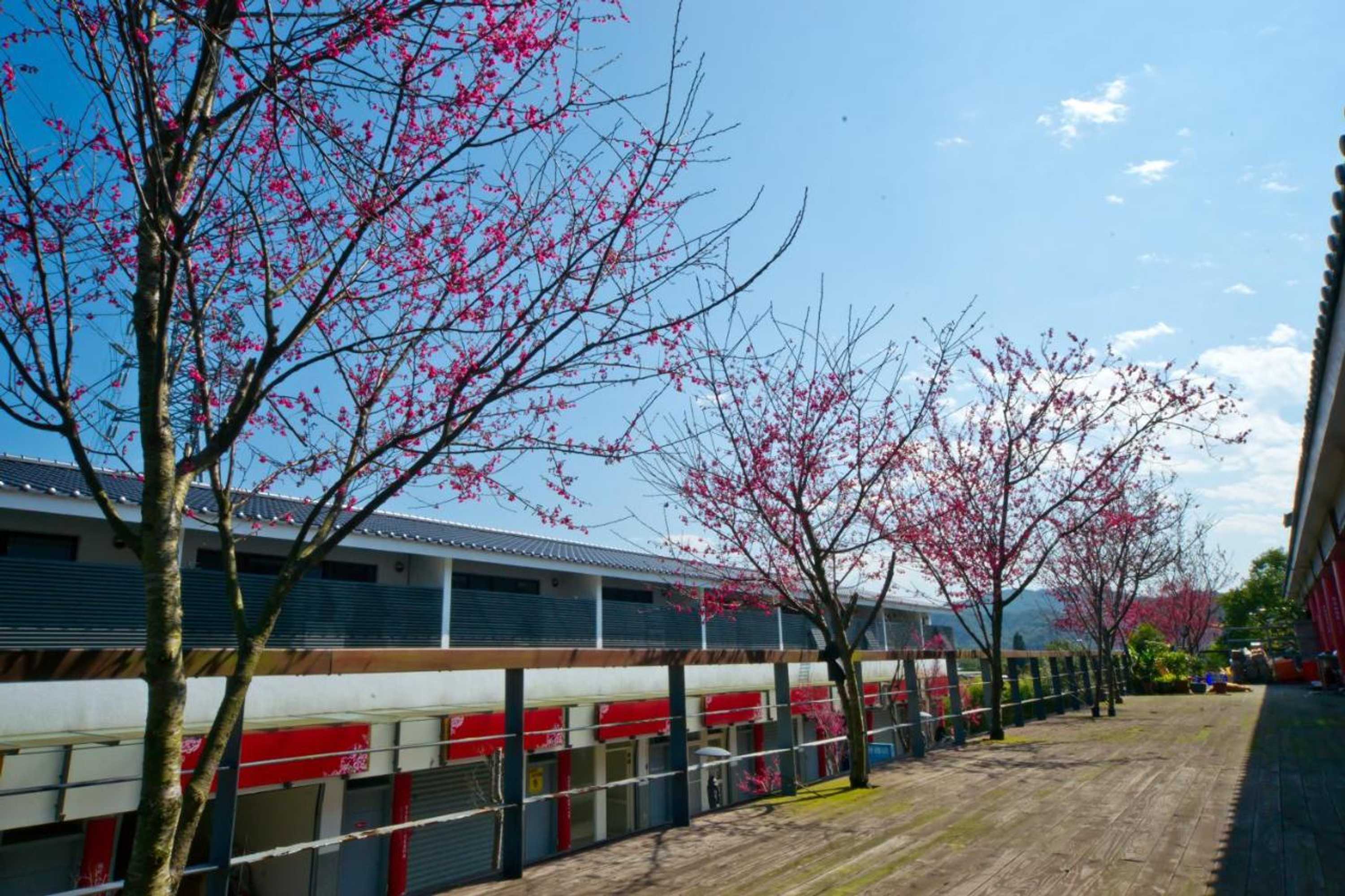 Gift card for Miaoli Sanyi Bo Wu Guan Homestay