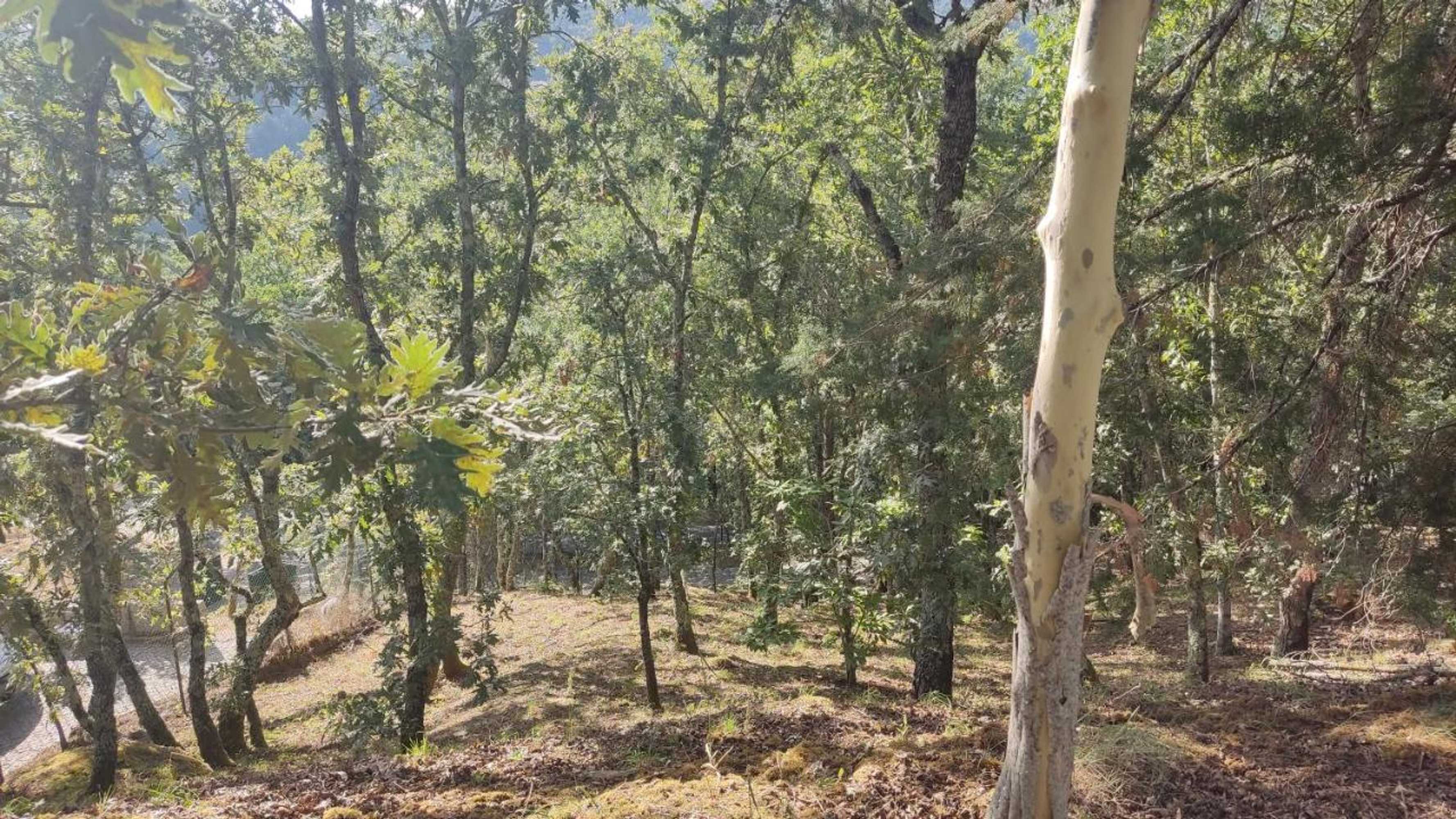 Gift card for Casa de Apeleiras