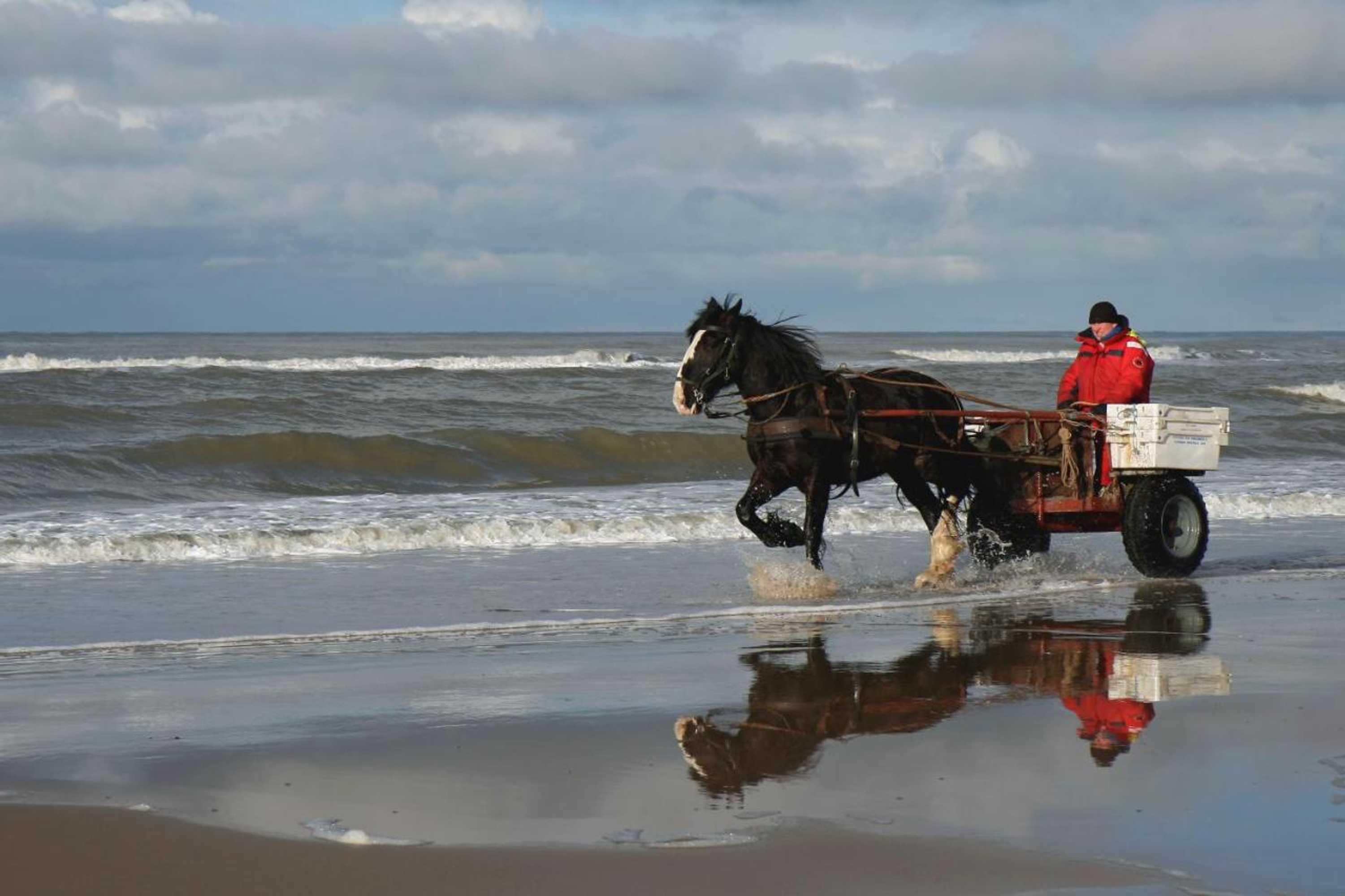Gift card for Hoogland Aan Zee