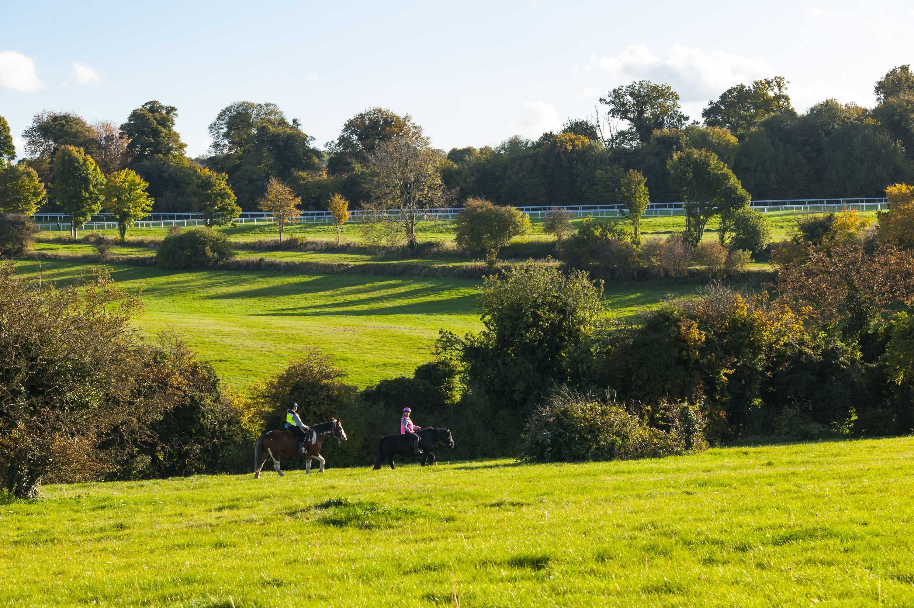 Gift card for Holiday Inn Express London-Epsom Downs by Ihg Gift card for Holiday Inn Express London-Epsom Downs by Ihg