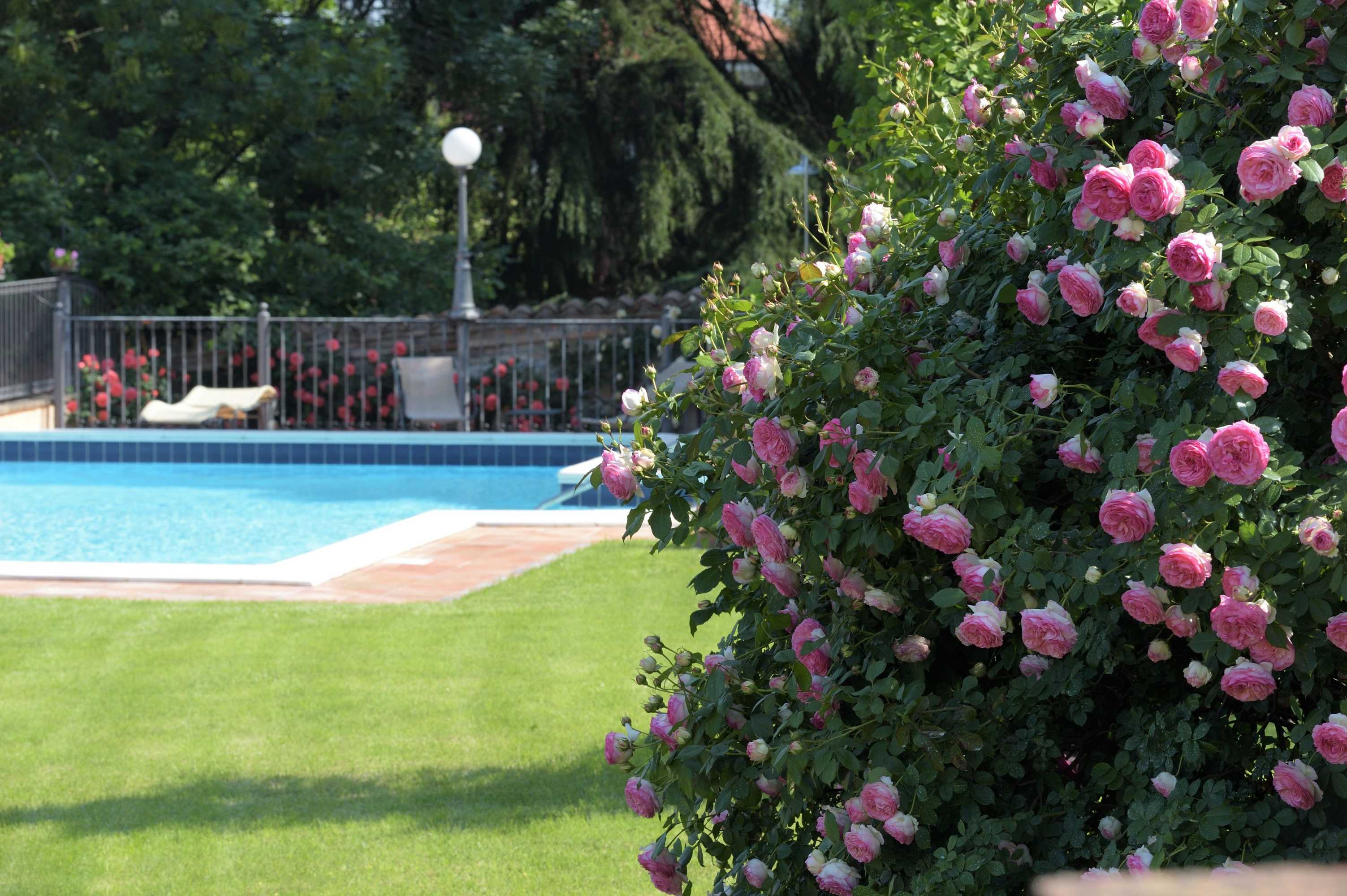 Gift card for B&b & Residence Corte Bebbi Gift card for B&b & Residence Corte Bebbi