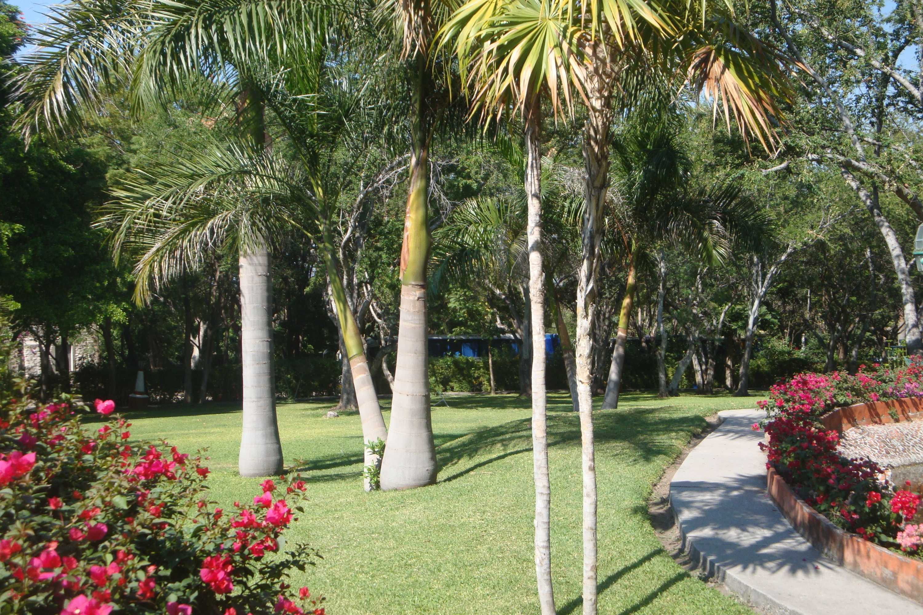 Gift card for Hotel Hacienda Vista Hermosa Gift card for Hotel Hacienda Vista Hermosa
