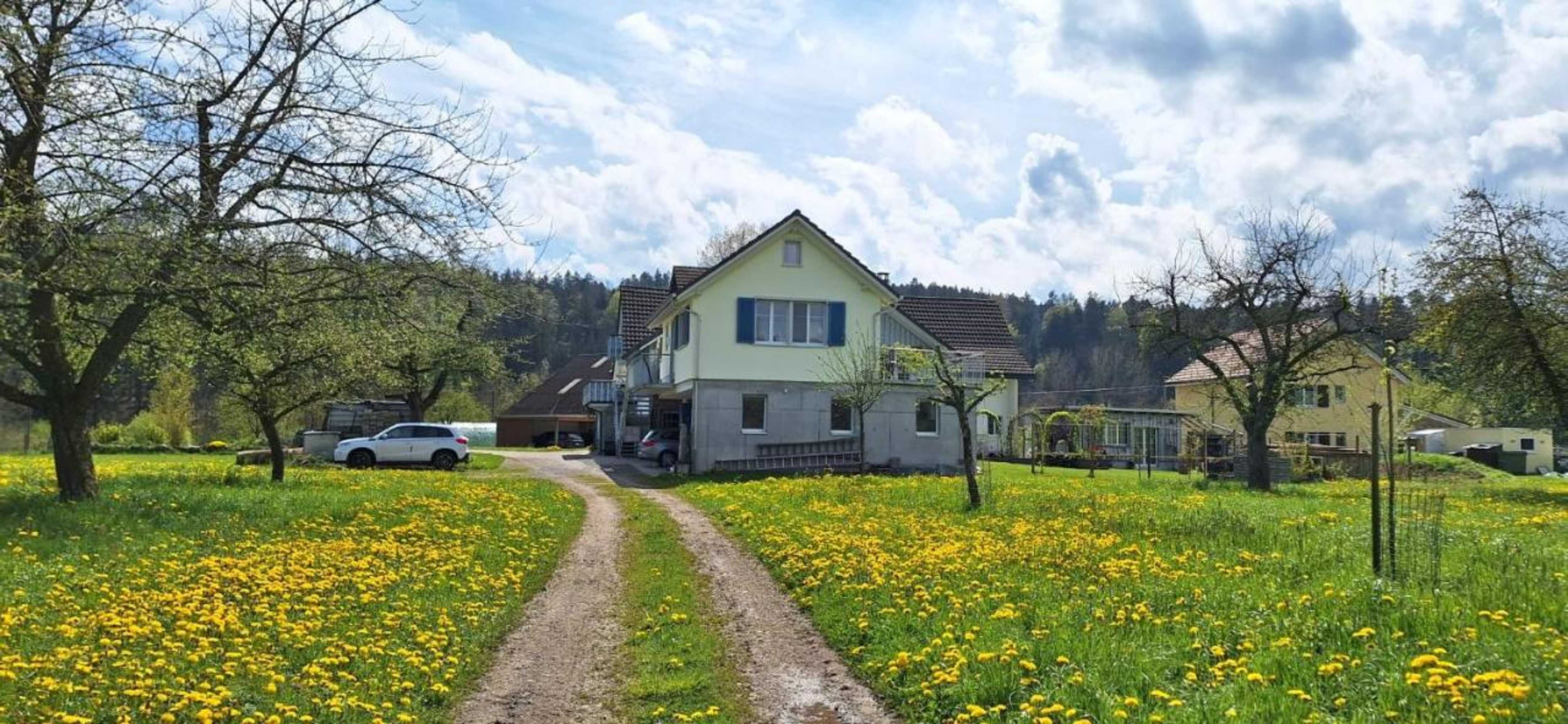 Gift card for Sitter-Panorama