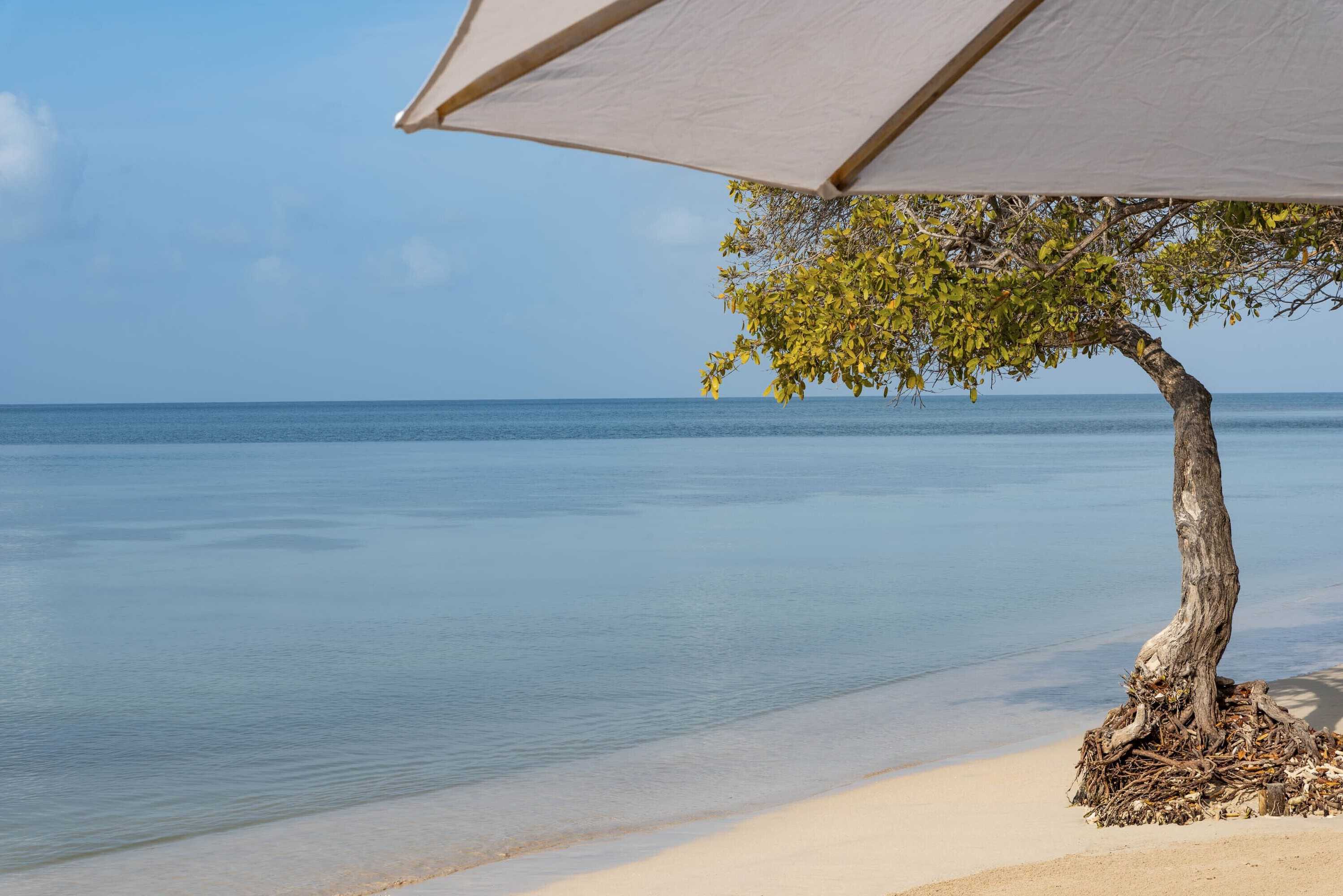 Gift card for Hotel Isla Del Encanto Gift card for Hotel Isla Del Encanto