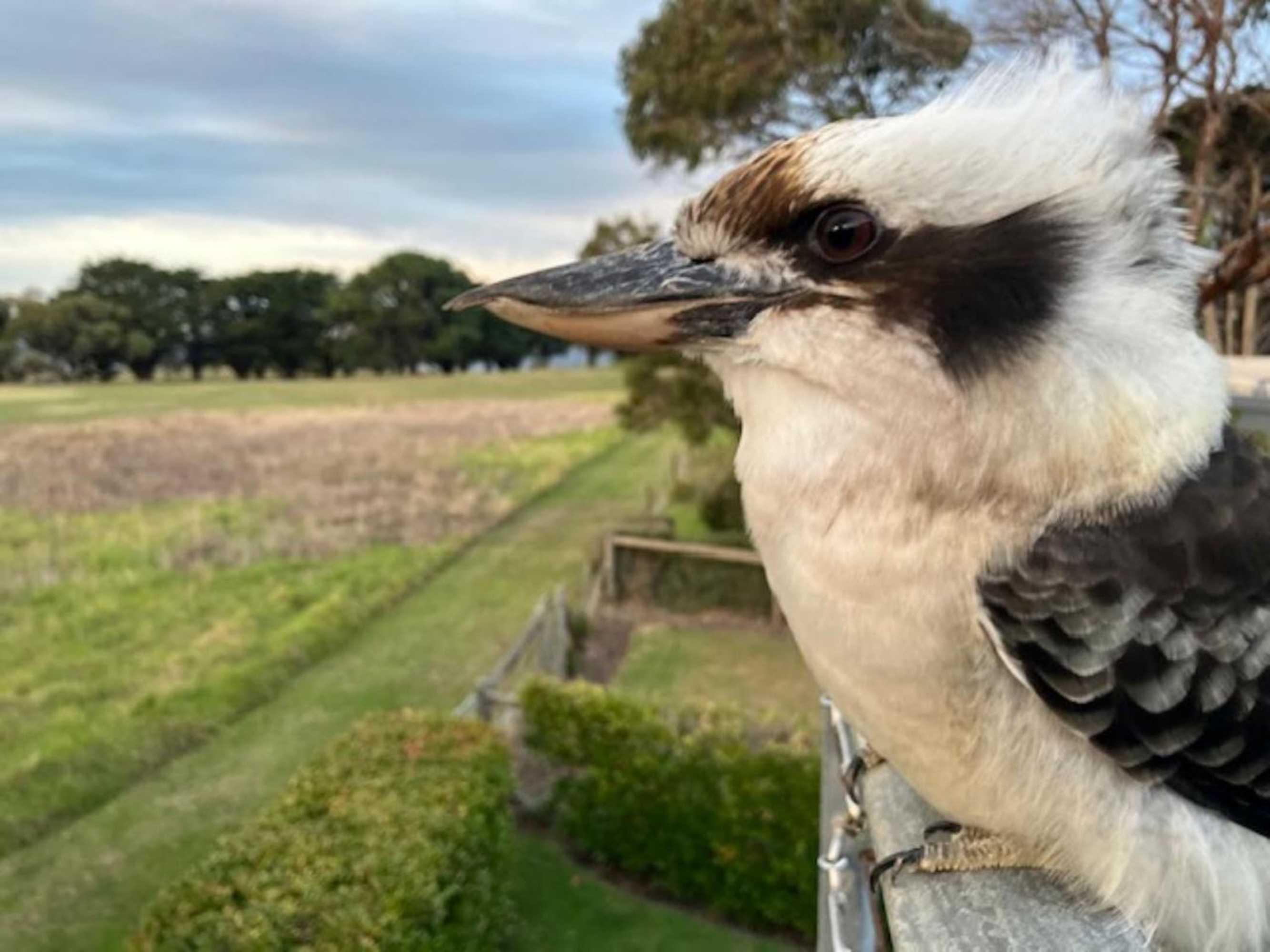 Gift card for Pride And Prejudice