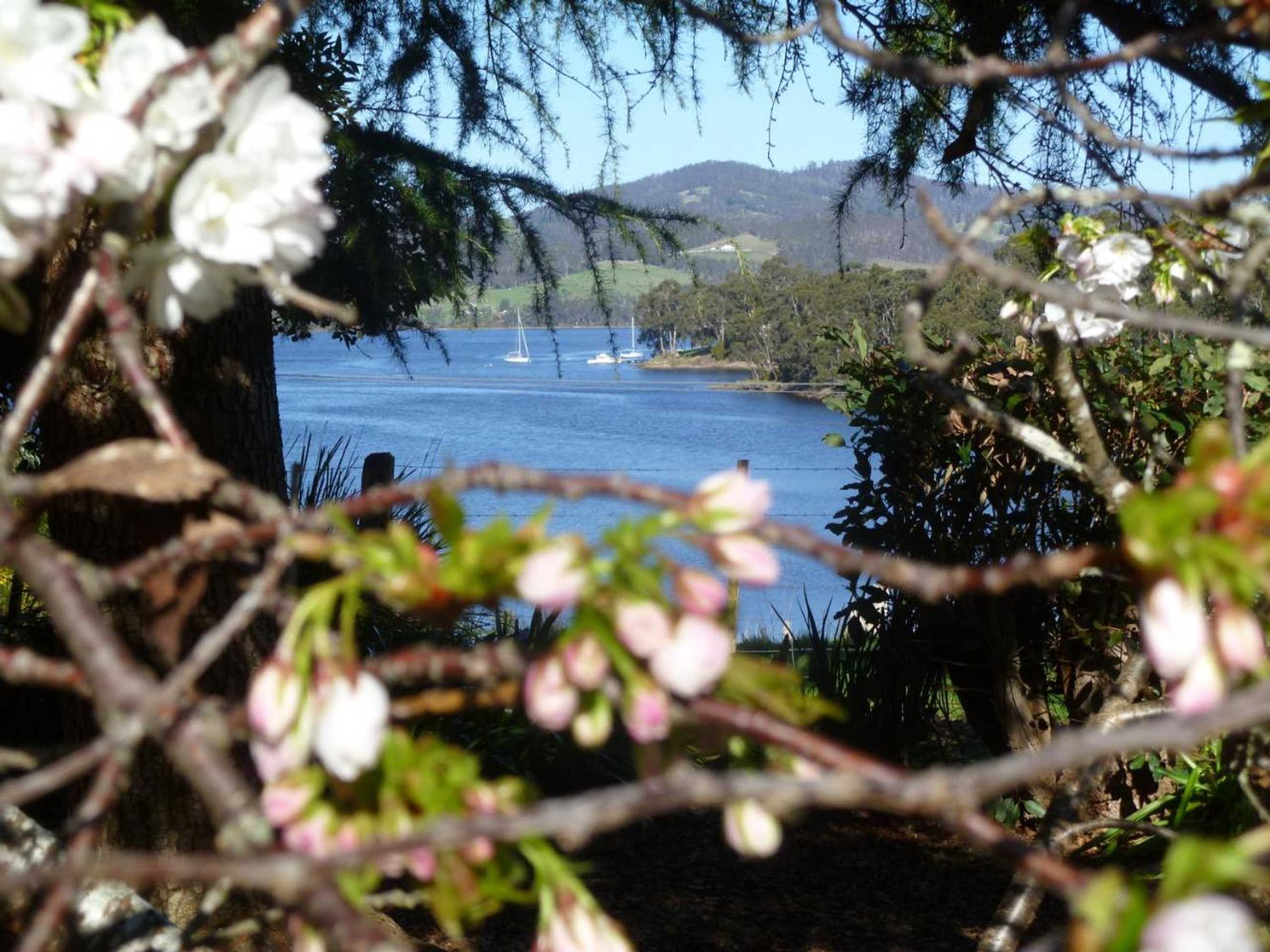 Gift card for Donalea Bed & Breakfast