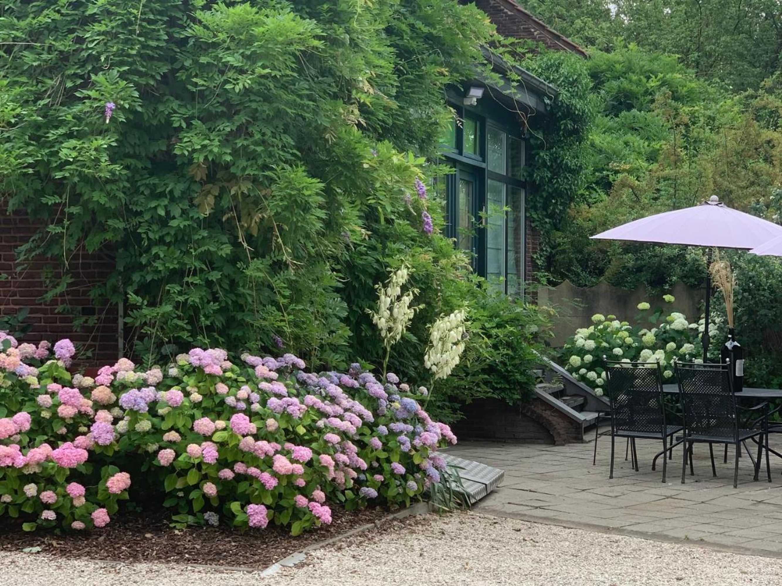 Gift card for Vakantiewoning Guesthouse Momo