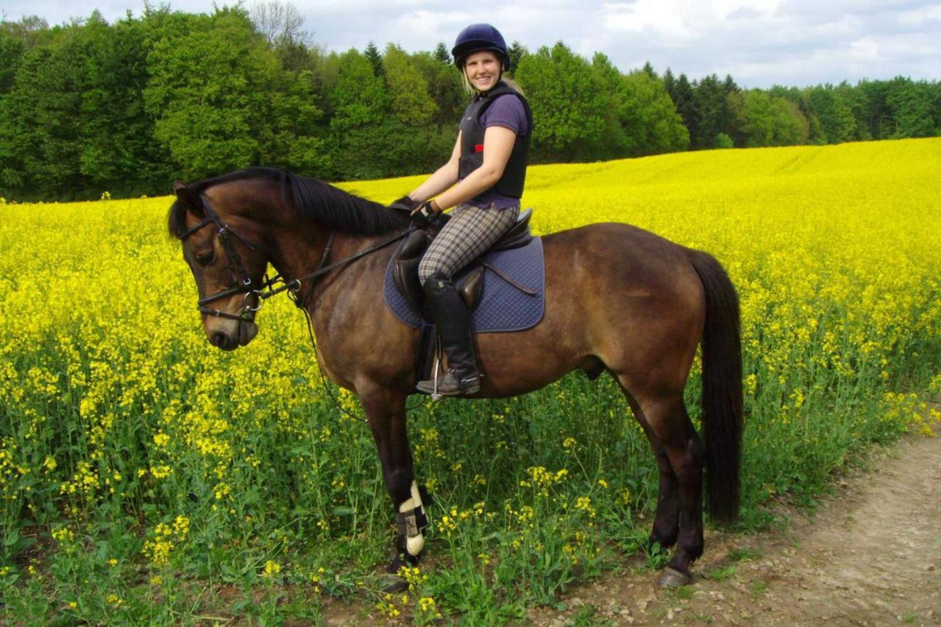 Gift card for Ponyhof Naeve am Wittensee