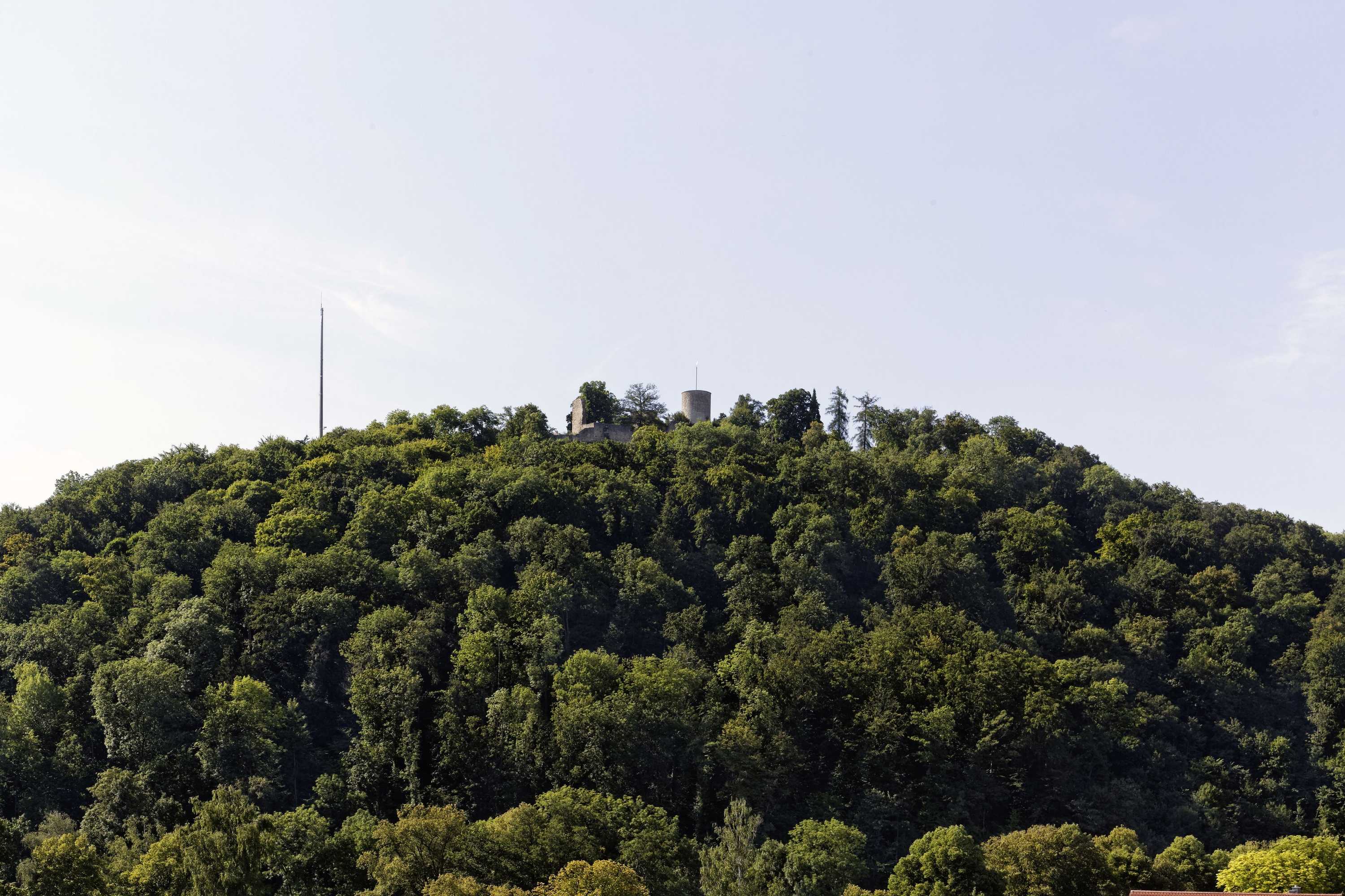 Gift card for Ibis Styles Nagold-Schwarzwald Gift card for Ibis Styles Nagold-Schwarzwald