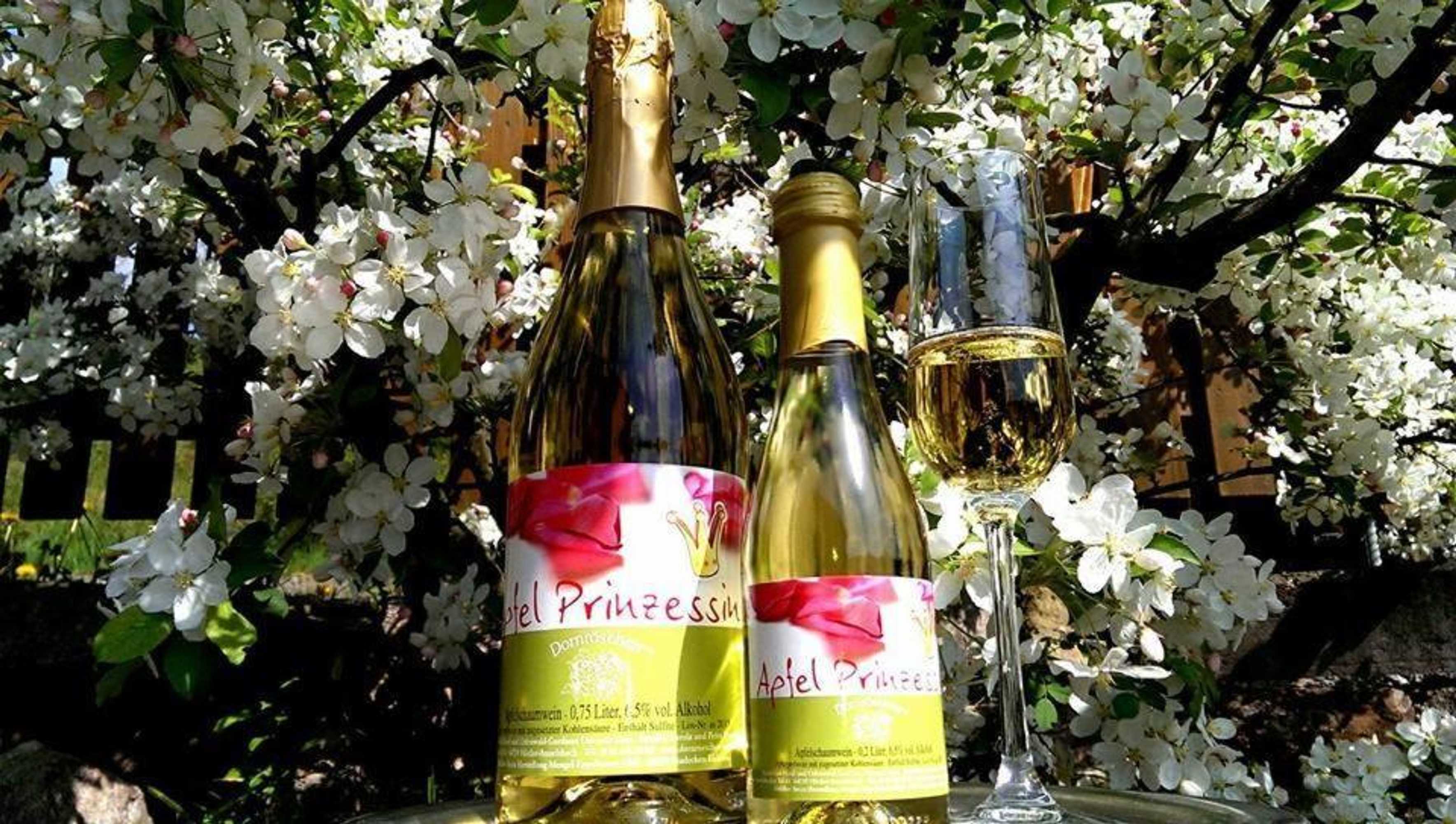 Gift card for Land-Gut-Hotel Dornröschen