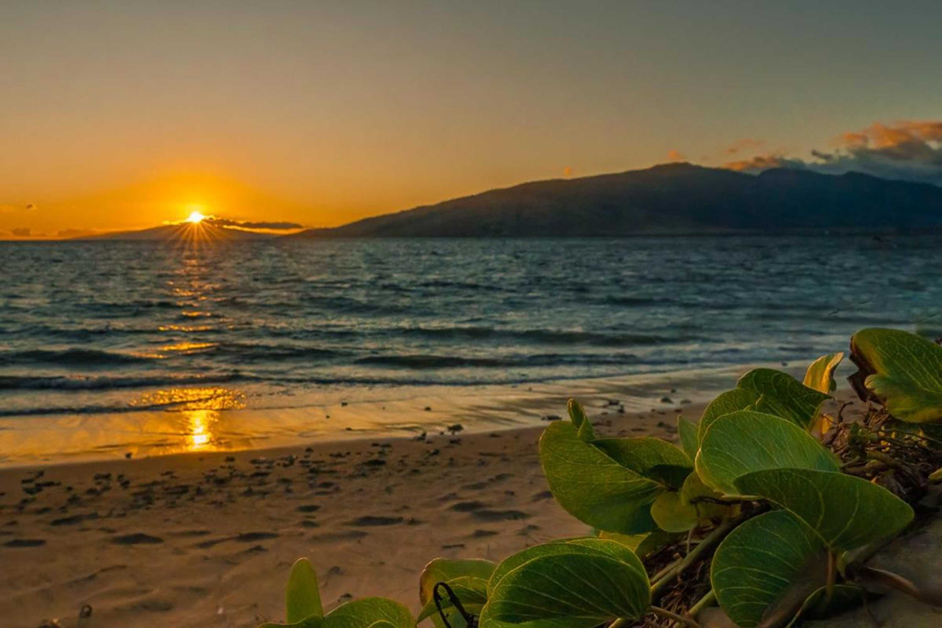 Gift card for Maui Sunset B-115 by Vacation Rental Pros Gift card for Maui Sunset B-115 by Vacation Rental Pros