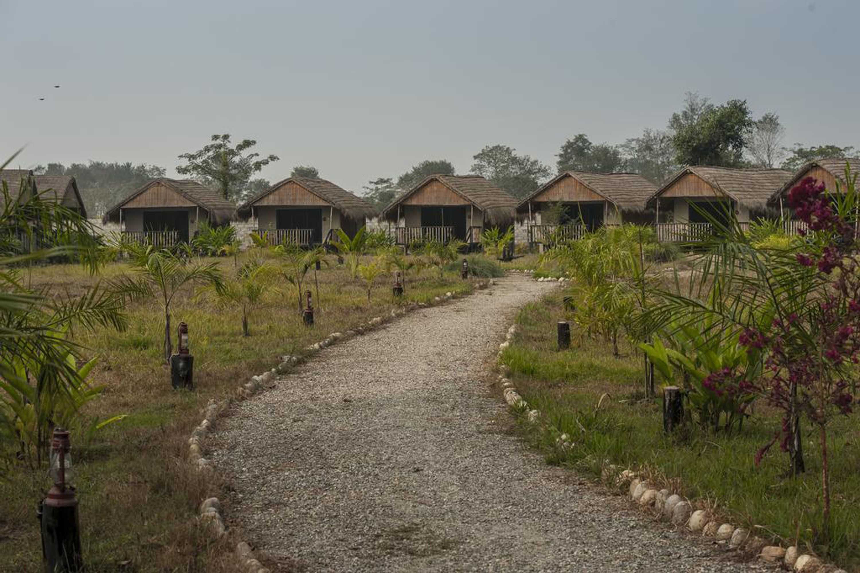 Gift card for Siddhartha Wildlife Retreat Gift card for Siddhartha Wildlife Retreat