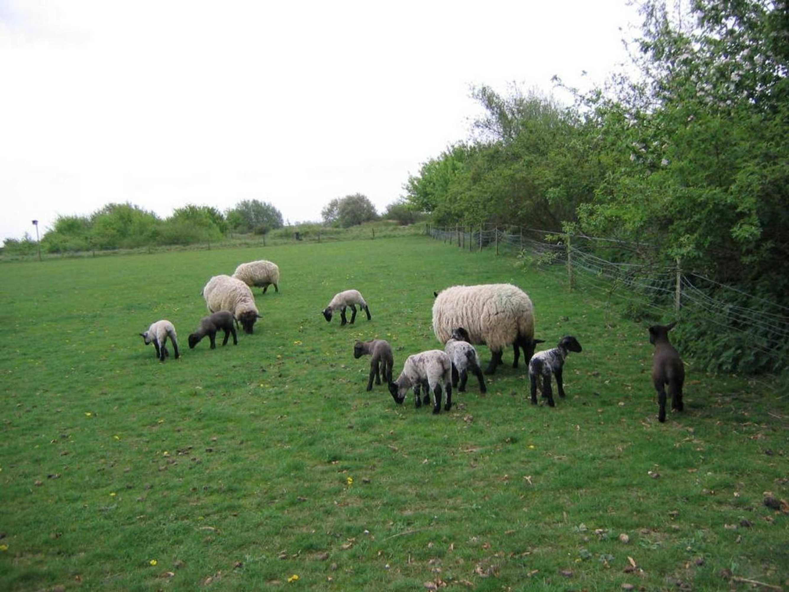 Gift card for Pointers Guest House Gift card for Pointers Guest House