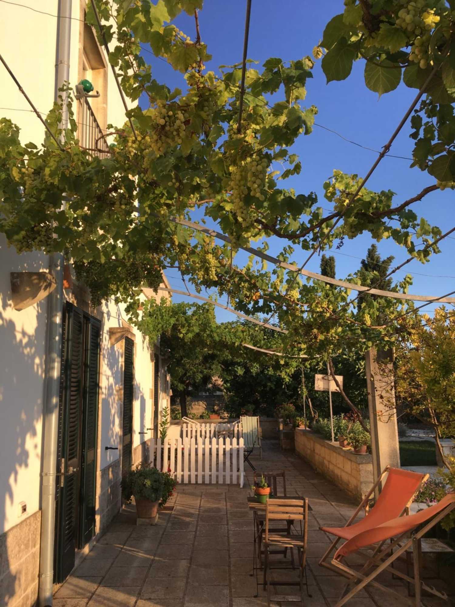 Gift card for Corte Dei Salentini Bed & Breakfast Gift card for Corte Dei Salentini Bed & Breakfast