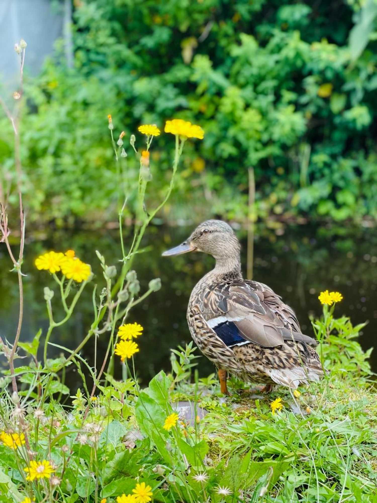 Gift card for Villa Vennendal Landgoedhotel