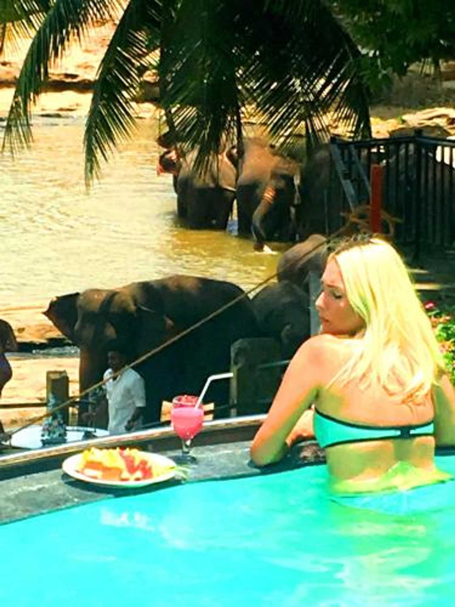 Gift card for Hotel Elephant Bay Gift card for Hotel Elephant Bay