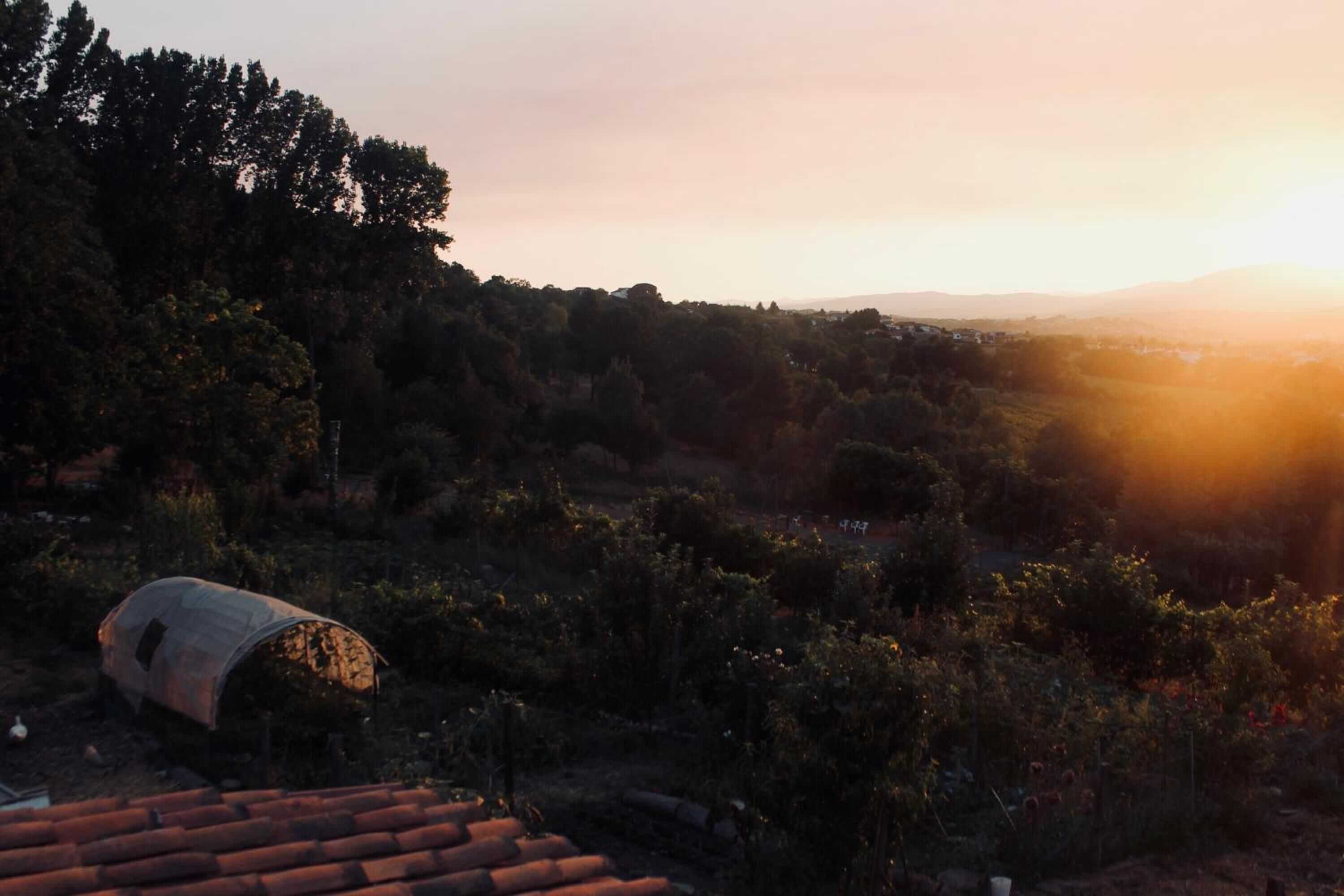 Gift card for Quinta da Mata