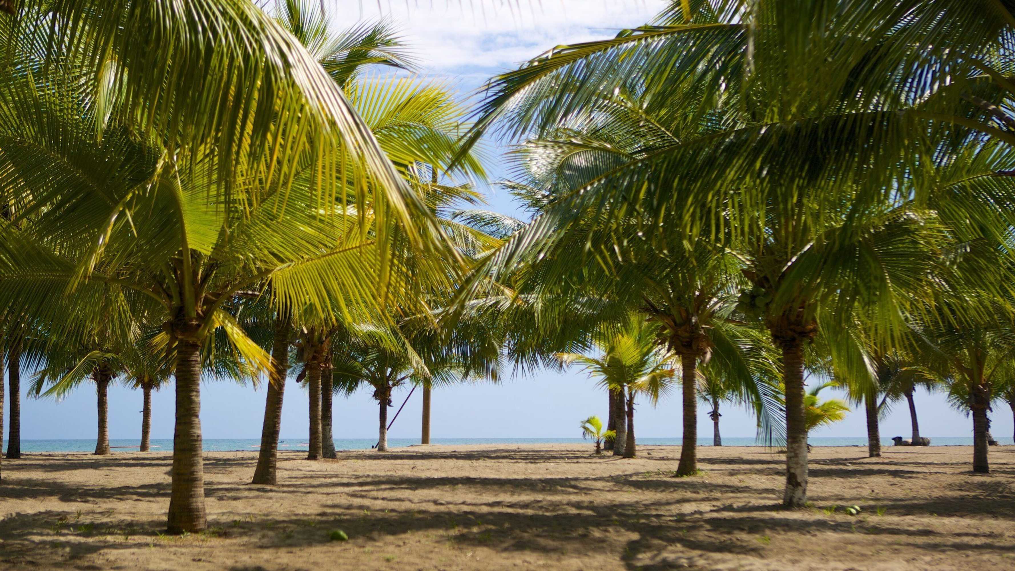 Gift card for Hotel Bless