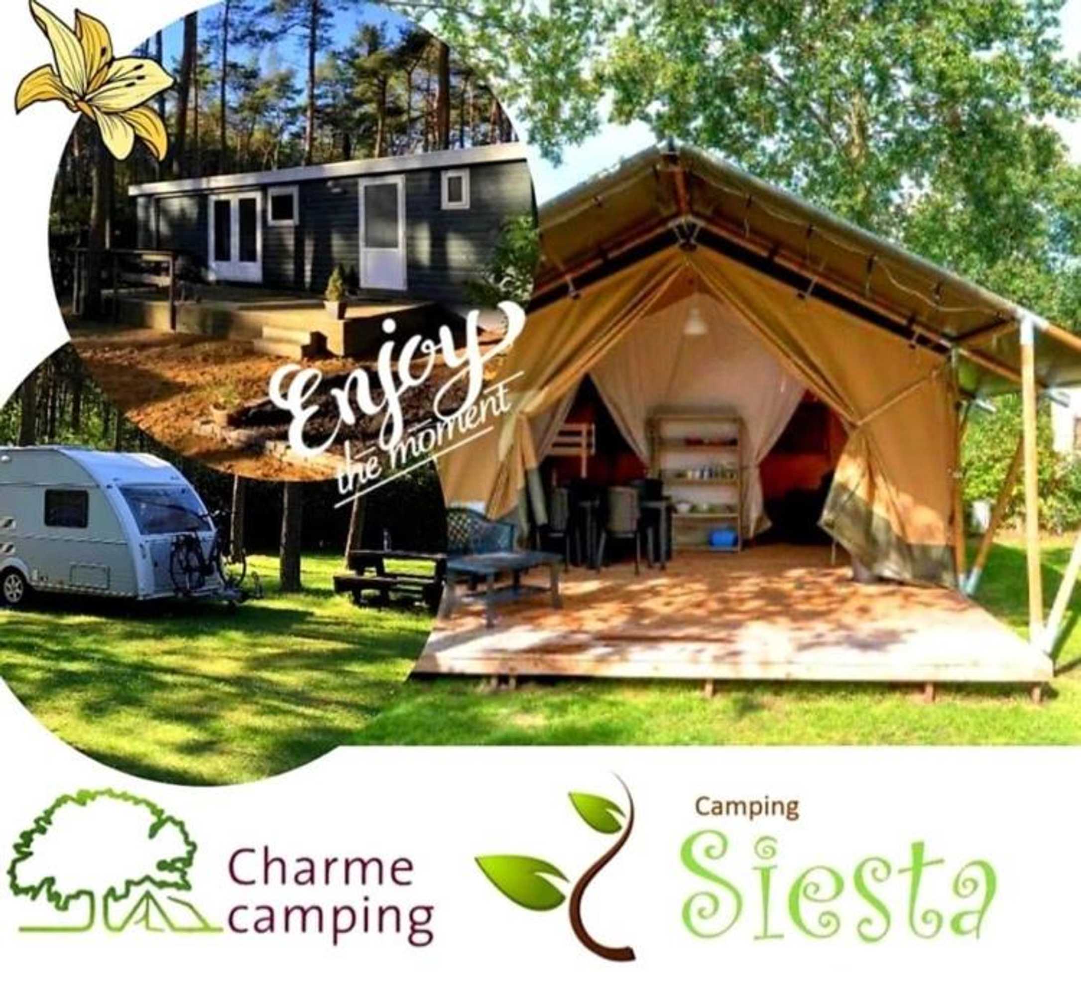 Gift card for Camping Siesta