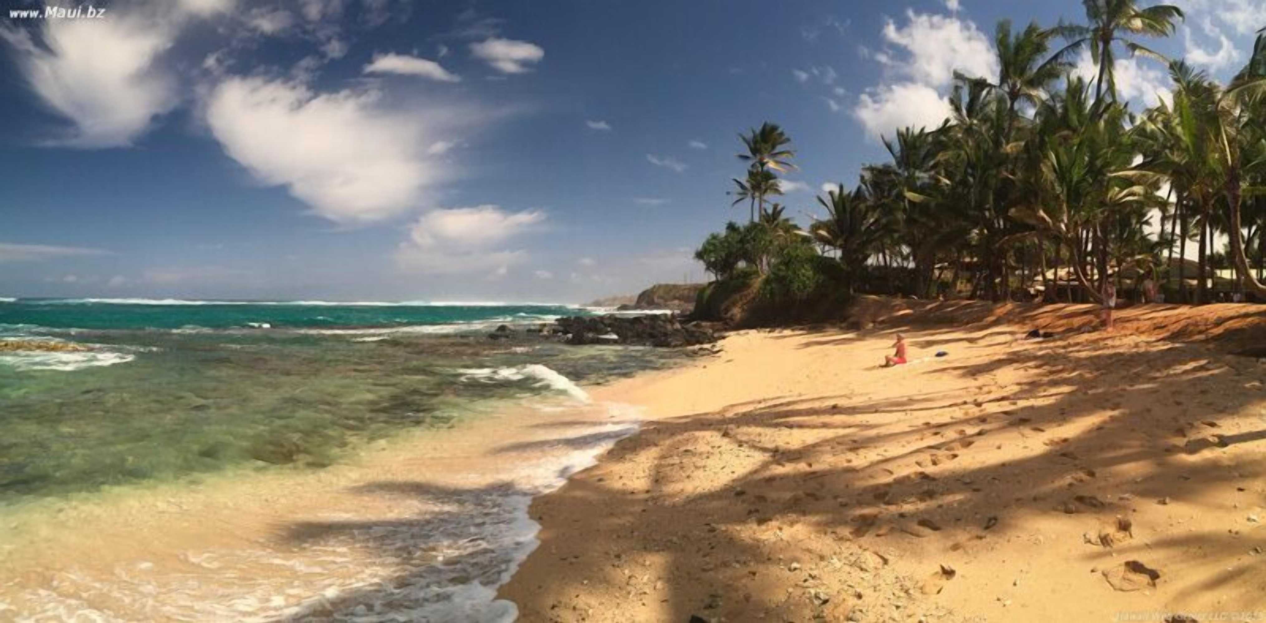 Gift card for Kaiholo Hale