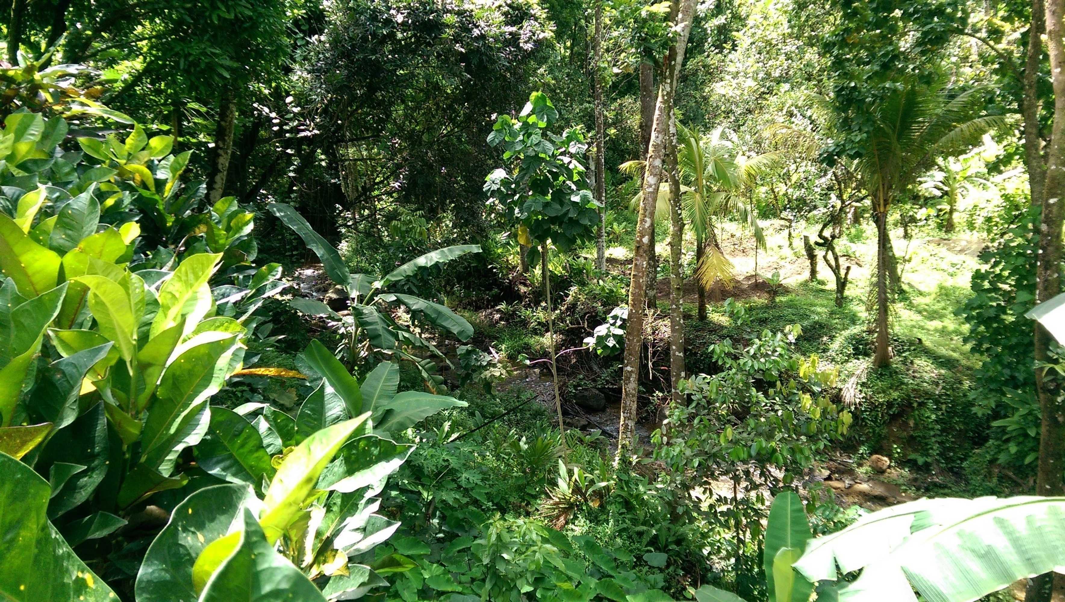 Gift card for River Side House Gift card for River Side House