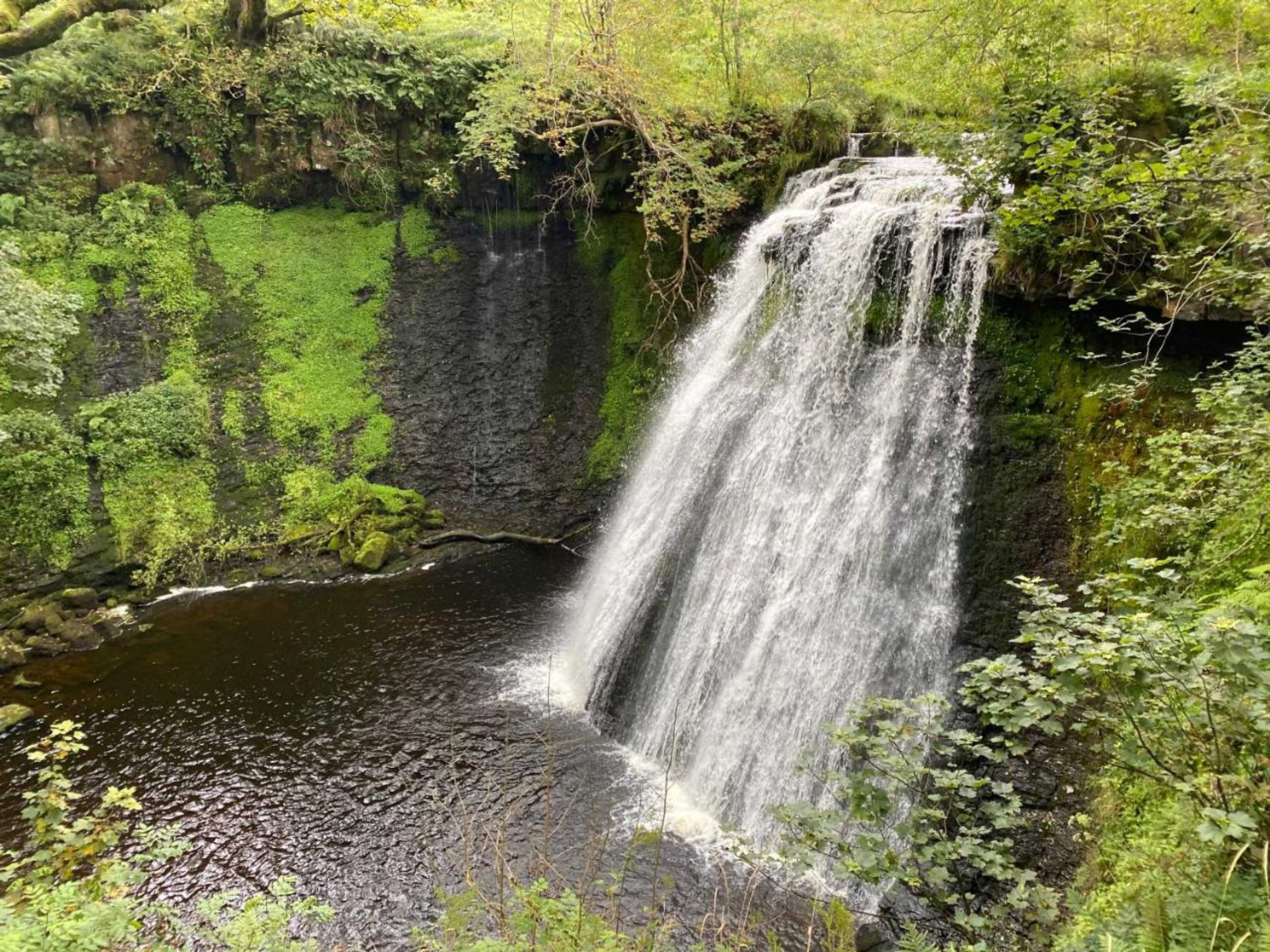 Gift card for The Fountain Hotel