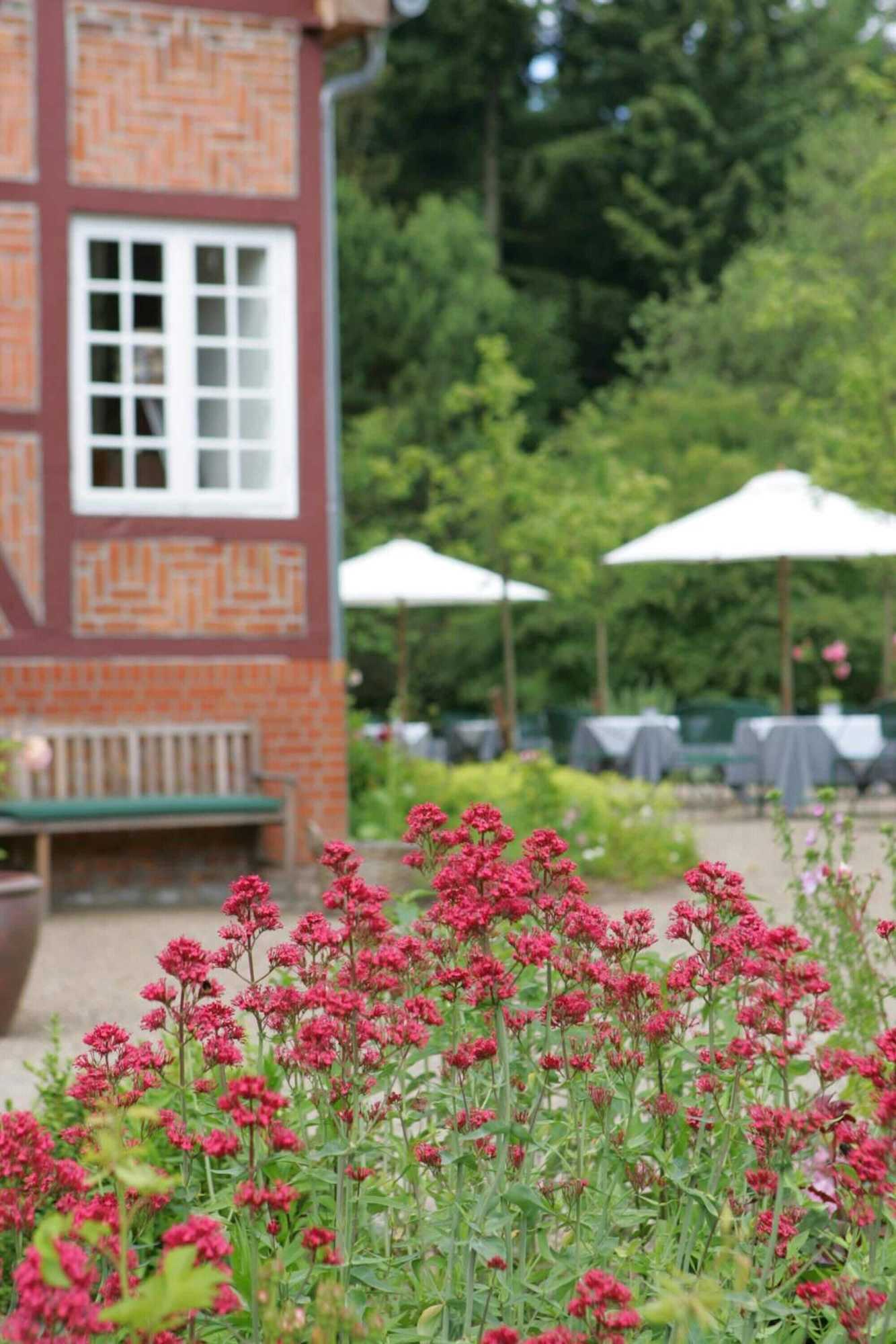 Gift card for Hotel Waldhof Auf Herrenland Gift card for Hotel Waldhof Auf Herrenland