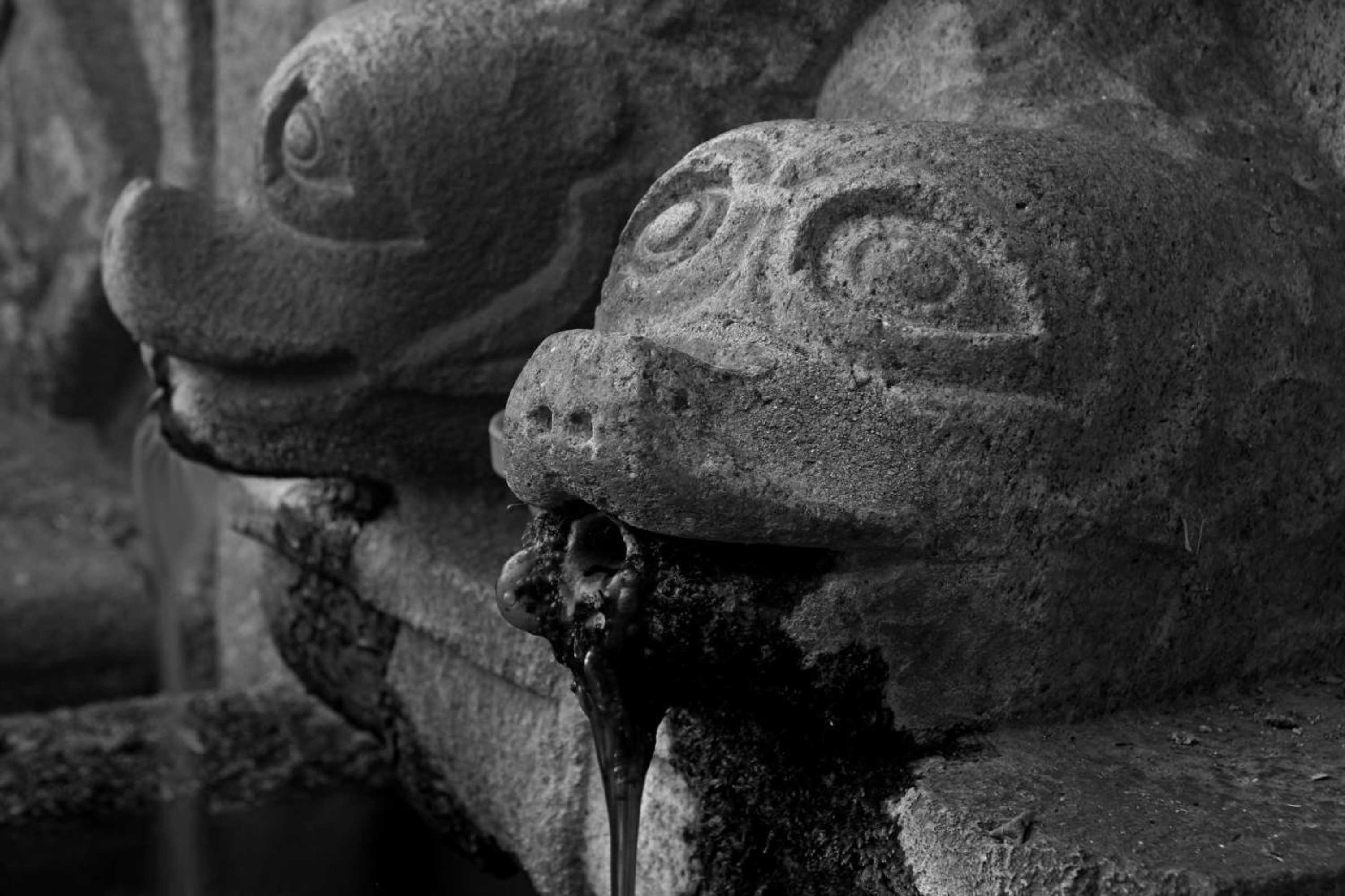 Gift card for Casa de Pascoaes Historical House