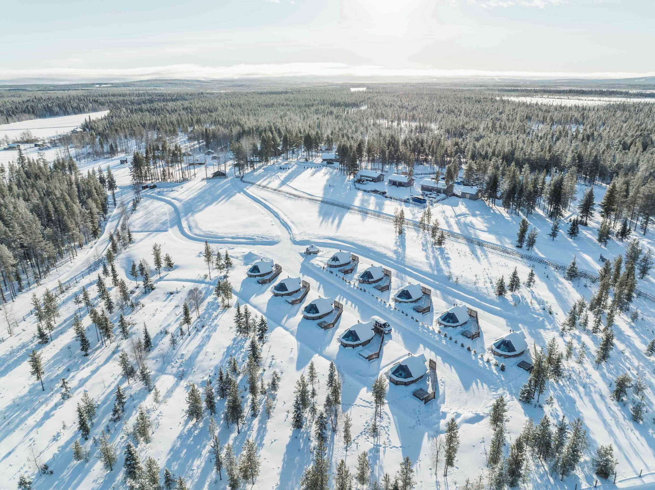 Gift card for Reindeer Manor Levi Gift card for Reindeer Manor Levi