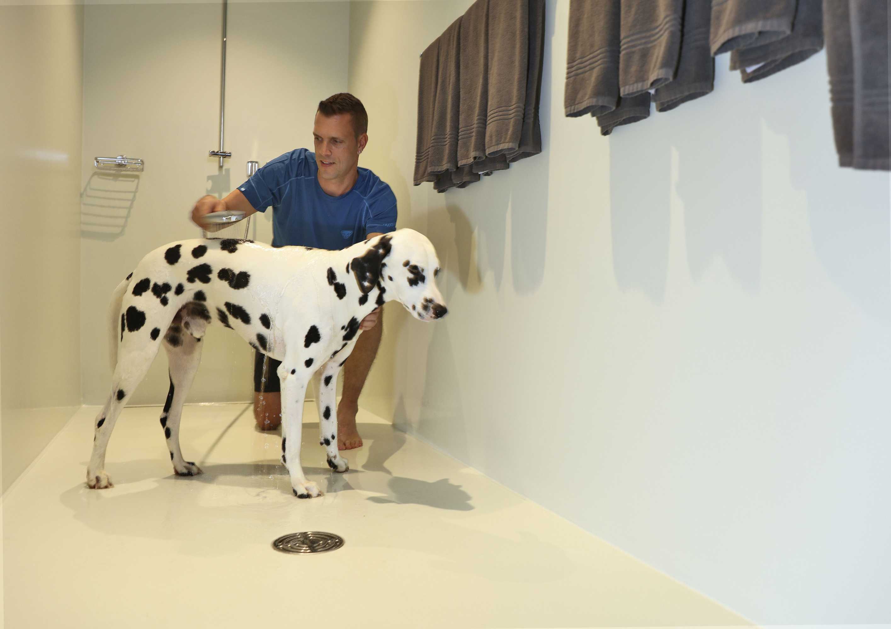 Gift card for Weissbad Lodge