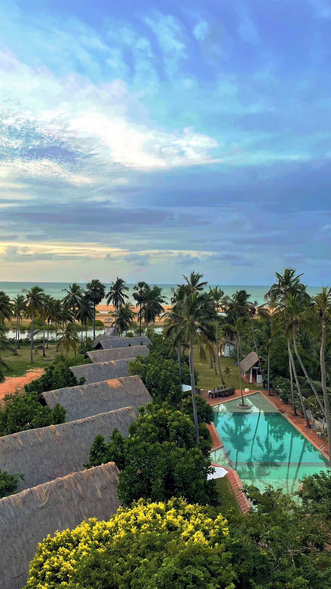Gift card for Blue Whale Beach Boutique Resort Gift card for Blue Whale Beach Boutique Resort