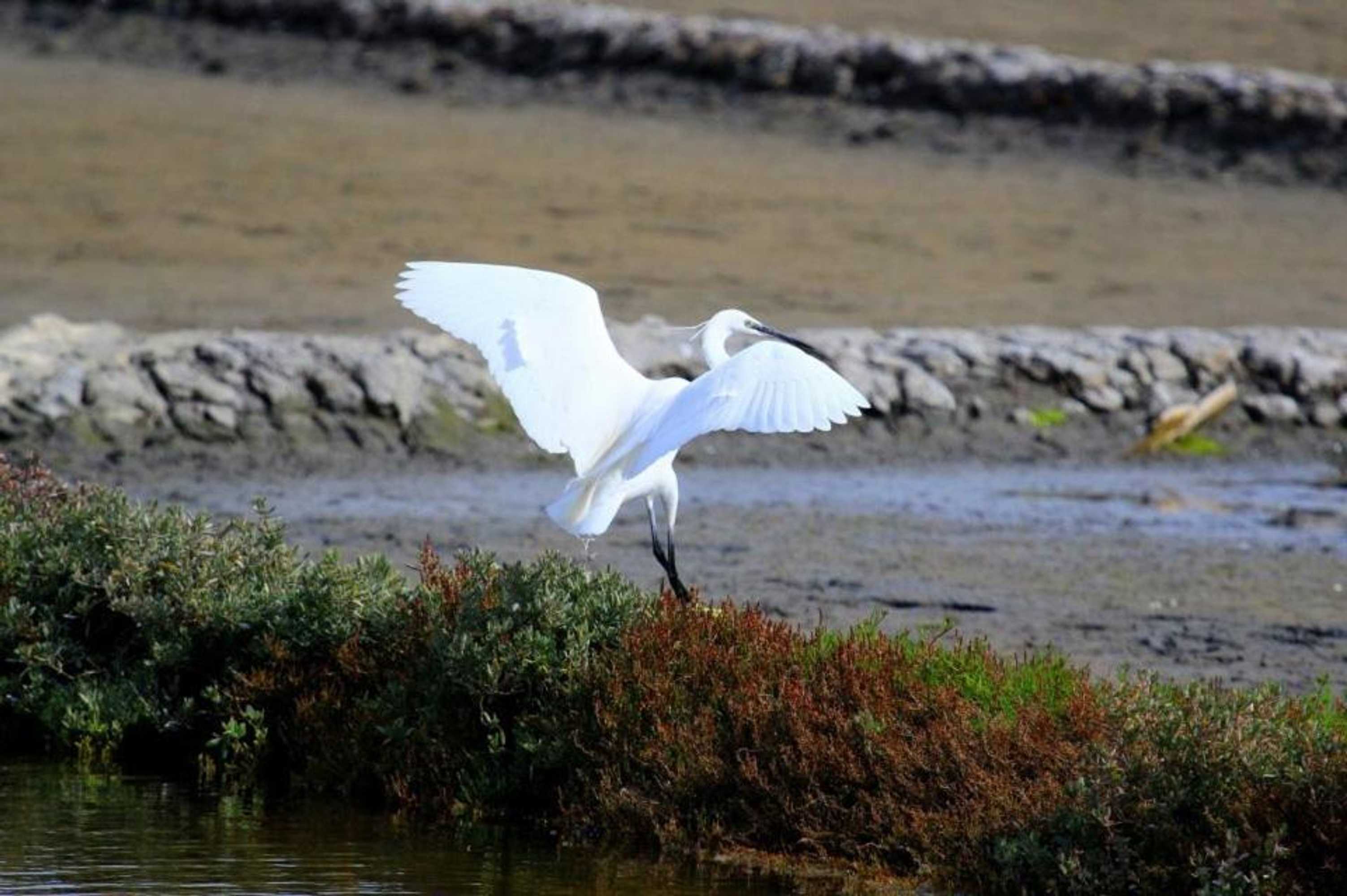 Gift card for Hotel Paraiso