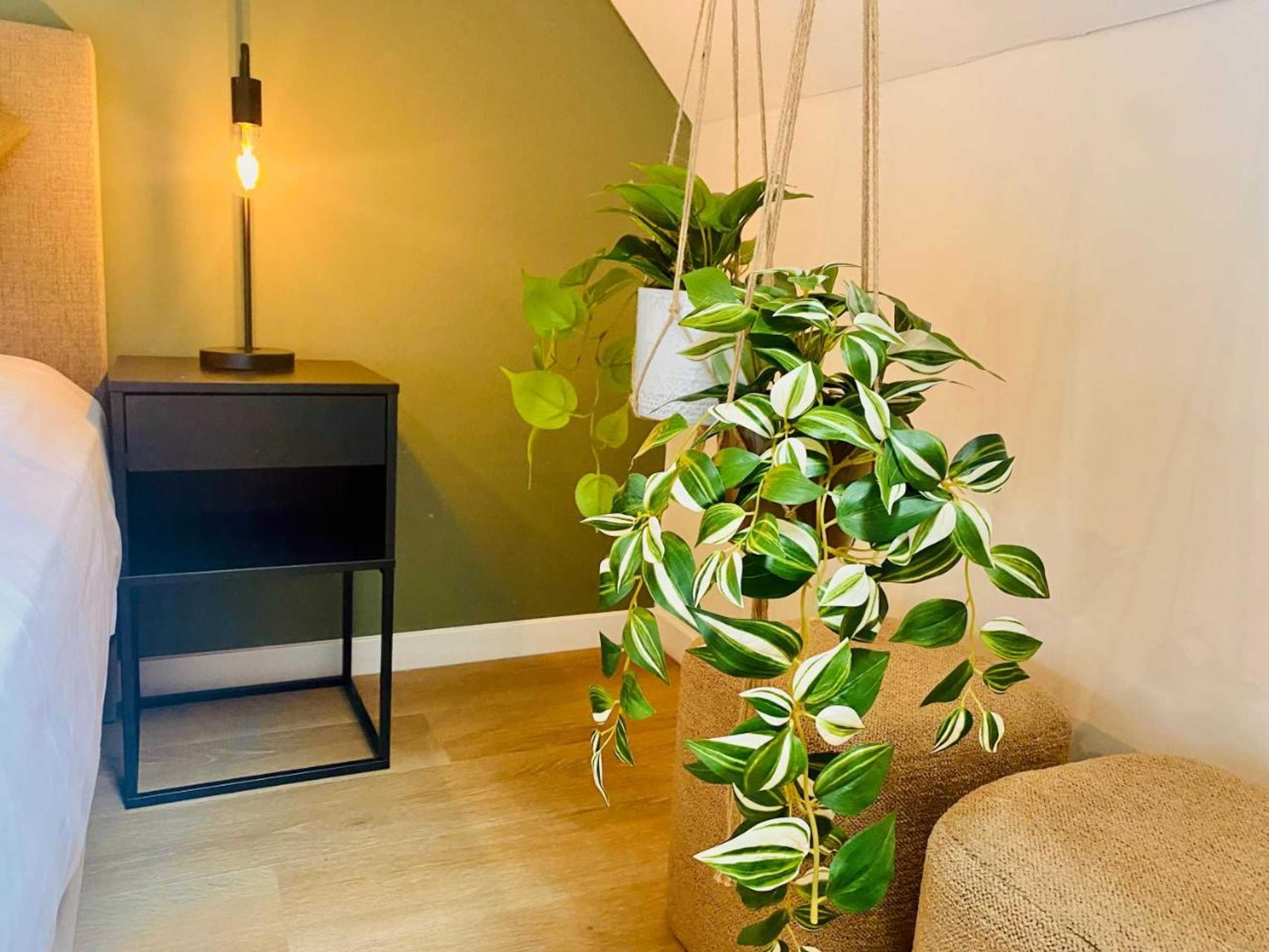 Gift card for Logies De Hoogmolen